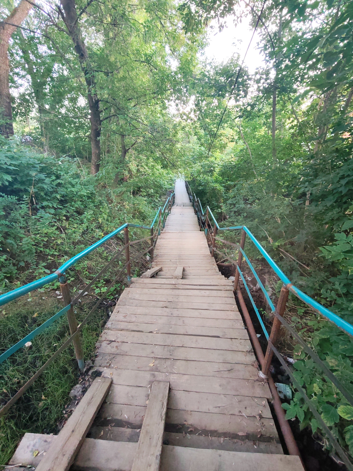 This is a photograph of an outdoor wooden staircase with blue railings, surrounded by lush green trees and foliage. The staircase appears to be weathered and in a state of disrepair, with some wooden planks loose or missing. The scene suggests a natural or park-like setting. Based on the context provided, this staircase is located in the city of Izhevsk, Russia.