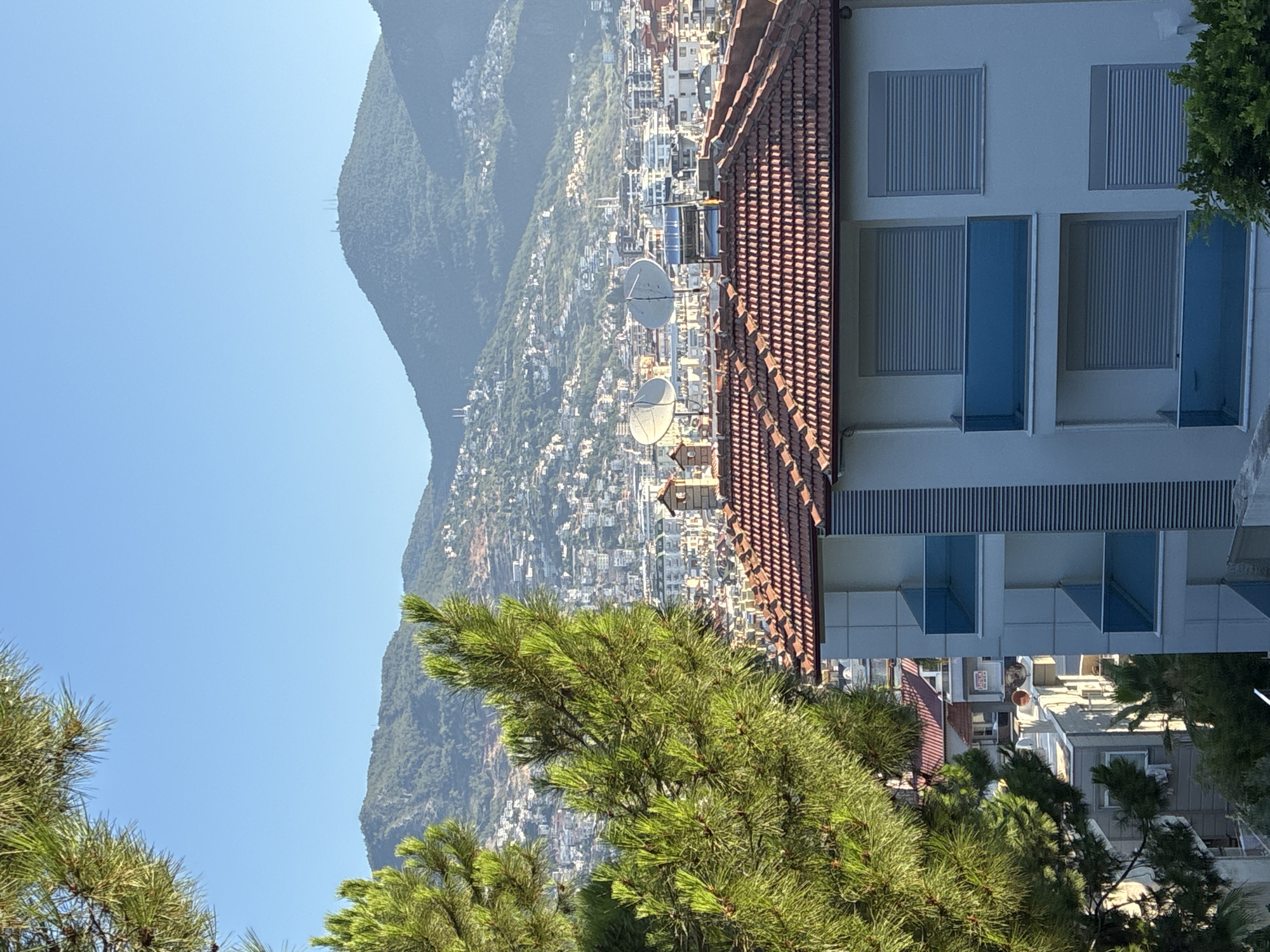 This is a medium-shot, outdoor, vertical photograph taken from an elevated position, looking towards a hillside city and distant mountains under a clear blue sky. In the foreground, on the left, a large, green pine tree with dense needles partially obscures the view. To the right and slightly behind the pine tree, the upper floors of a modern, light-colored building are visible. This building features a red-tiled roof, multiple balconies with blue glass railings, and windows with closed gray shutters. Beyond this building, a dense urban landscape stretches across the hillside, with numerous buildings of varying sizes and colors, some with white facades and red or dark roofs. Further in the distance, a large, green, tree-covered mountain rises, topped with several telecommunication towers. The overall impression is of a sunny day in a coastal city built on a hillside.
