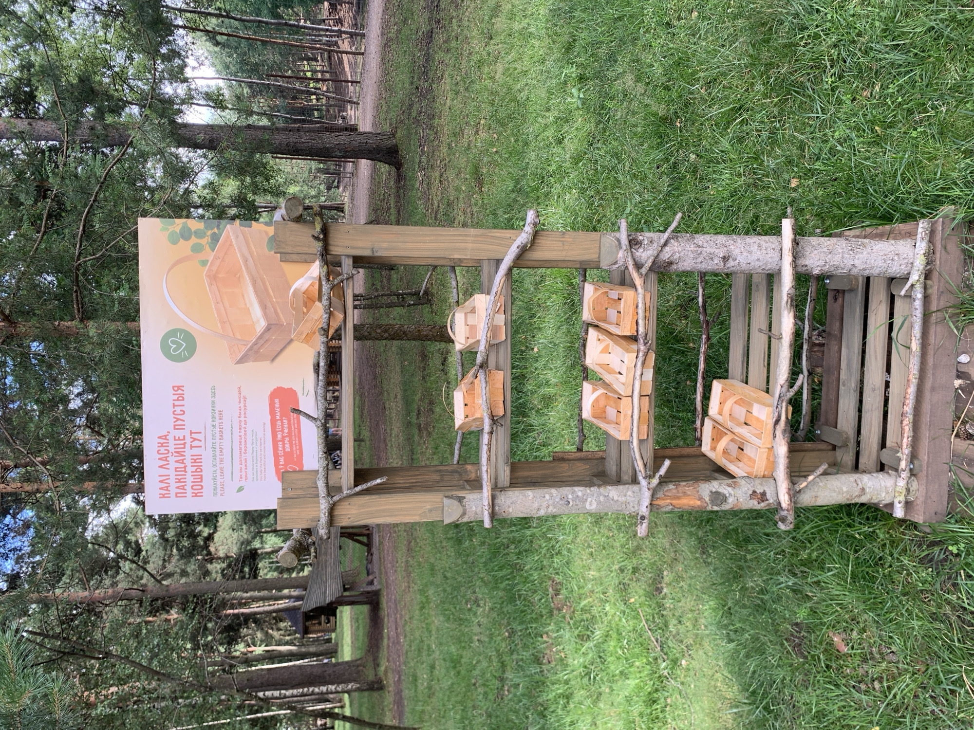 This image depicts an outdoor display stand with several small, woven wooden baskets placed on its shelves. The stand is made of rough-hewn wood and branches, giving it a rustic appearance. It is situated on a grassy area surrounded by trees, suggesting a park or forest setting. A large sign with text in Belarusian and English is mounted on the stand, featuring an illustration of a basket. The text on the sign requests visitors to leave empty baskets there. The overall scene suggests a public space designed for outdoor activities, possibly related to nature or collecting. The presence of the baskets and the sign indicates a system for managing and returning them, likely for visitors engaging in activities like berry picking. The location is identified as Baranavichy, Belarus.