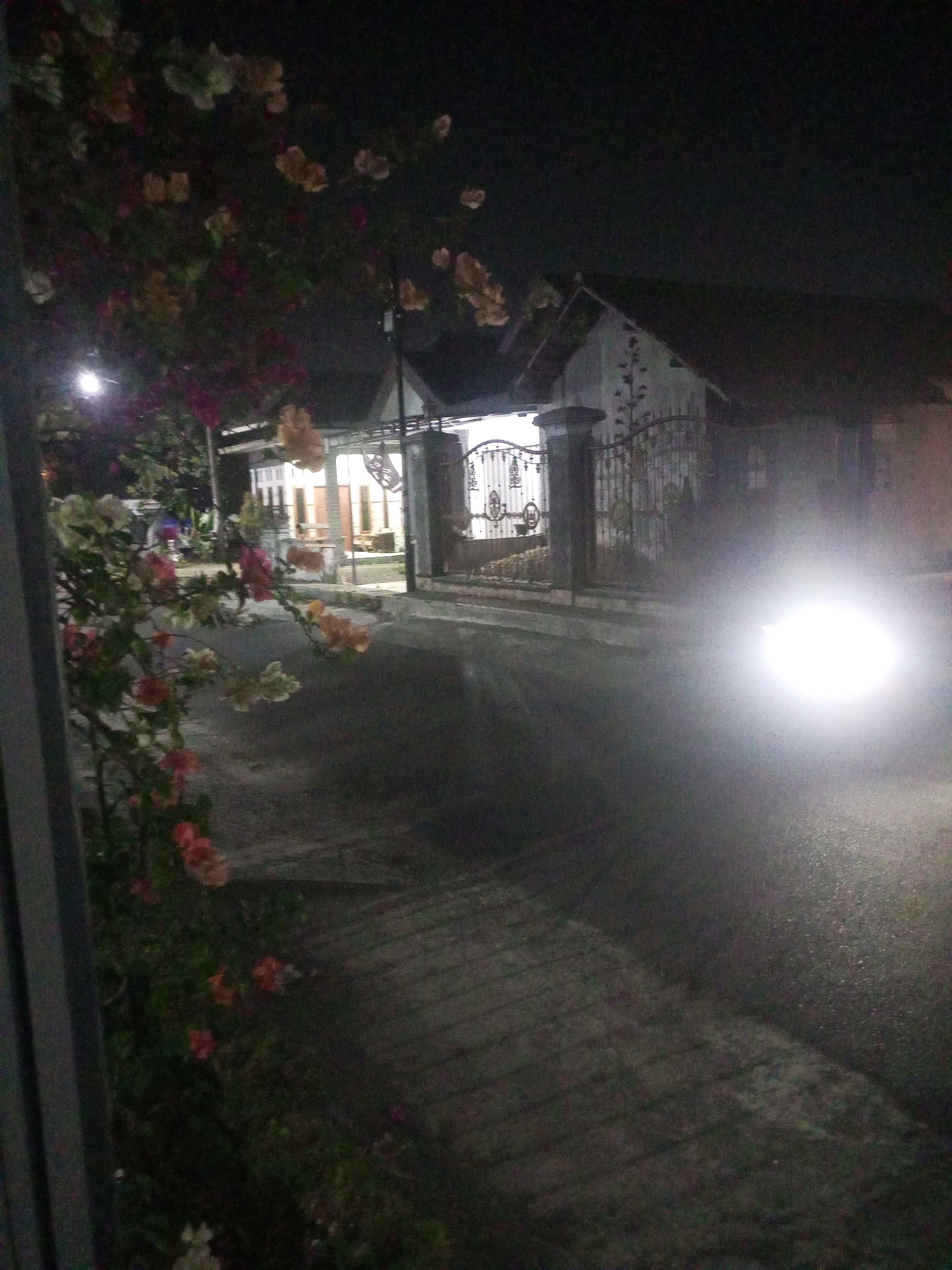 At night in Ngasem, Indonesia, a street view features a sidewalk and a road. On the left side of the image, bougainvillea flowers in shades of pink, white, and orange are in bloom, cascading over a grey, vertical metal fence. Across the street, a house with a prominent gabled roof is visible behind an ornate wrought-iron gate. The house has windows illuminated from within, casting a warm glow. A bright light, likely from a vehicle's headlight, is positioned on the right side of the road, obscuring much of the background with its glare. The overall scene is dimly lit, with the darkness of night enveloping the surroundings, except for the illuminated house and the bright headlight.