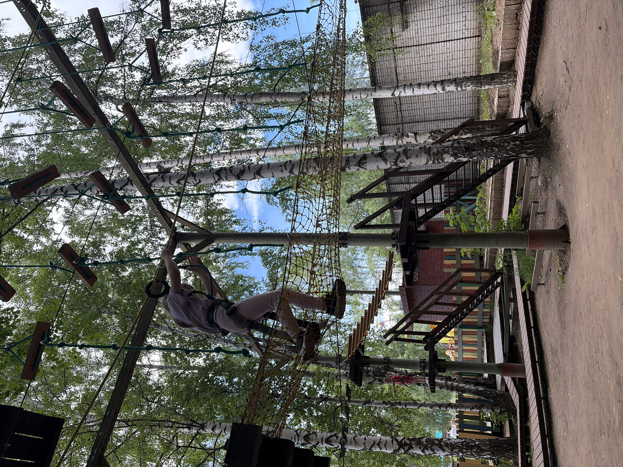 The image depicts a rope course attraction in Chaikovsky, Russia. A person, wearing a harness and pink pants, is in the process of traversing a net bridge. The rope course is set amongst birch trees, with wooden platforms and rope bridges forming the obstacle course. In the background, there is a red wooden structure with stairs, a brick wall, and a colorful fence. The ground is covered with dirt and some sparse vegetation. The sky is visible through the trees, with some clouds. Another person, wearing a red outfit and a harness, is visible on a lower platform of the course.