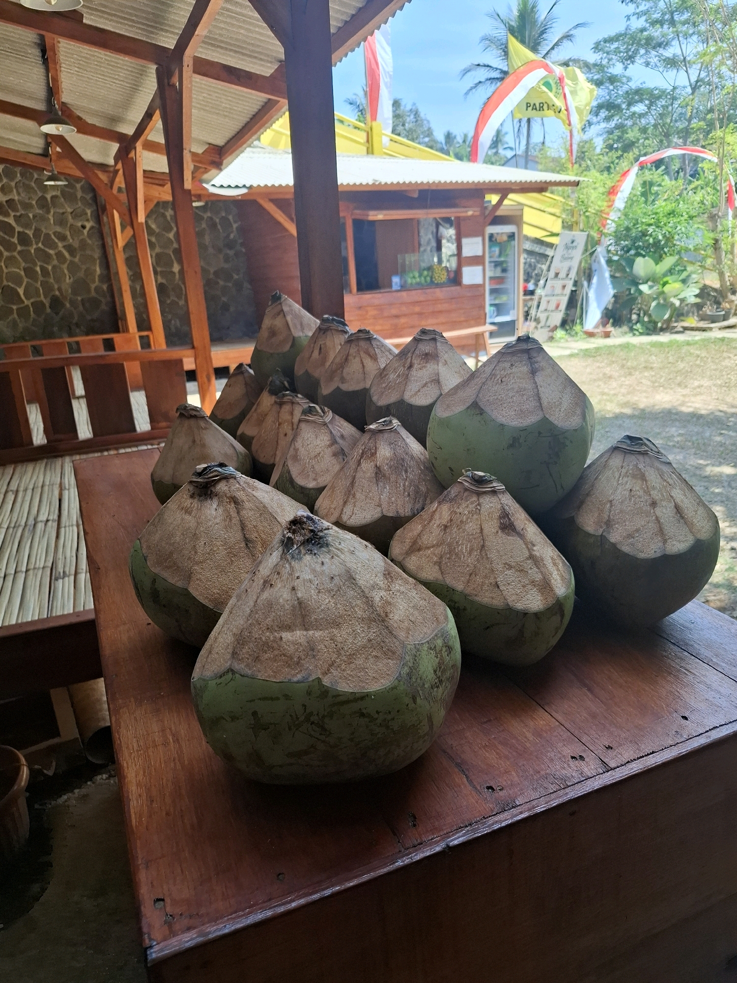 In Cibentang, Indonesia, a cluster of young coconuts, prepared for consumption, are arranged on a rustic wooden table. The coconuts are partially husked, revealing their green exterior and pale flesh. The table appears weathered, suggesting an outdoor setting, possibly a roadside stall or a casual eatery. In the background, a simple open-air structure with a corrugated metal roof and wooden supports is visible. The structure is adorned with red and white flags, and yellow banners, indicative of a celebratory or festive occasion. Beyond the structure, lush green foliage and trees create a natural backdrop. The lighting suggests it is daytime, with bright sunlight casting shadows.