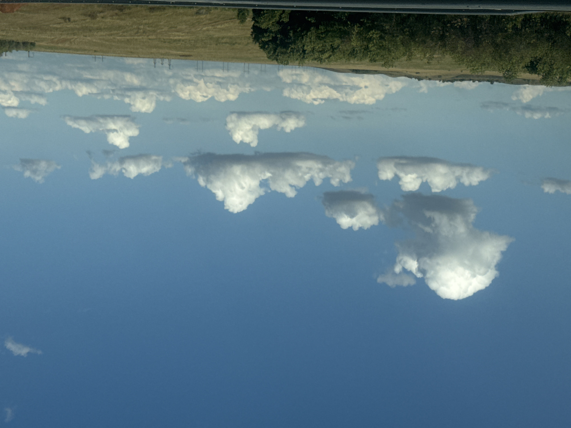 The image depicts a scenic landscape under a vast blue sky dotted with white cumulus clouds. The foreground features a dark, horizontal barrier, possibly a guardrail, suggesting a roadside view. Beyond this barrier, a rolling terrain unfolds, covered in dry, golden-brown grass and interspersed with patches of green trees and shrubs. In the distance, a line of power transmission towers is visible against the horizon, hinting at human infrastructure within the natural setting. The overall impression is one of a rural or semi-rural environment on a clear day. The location is identified as Rodnichnodolsky, Russia, though the image itself does not contain specific landmarks to confirm this.