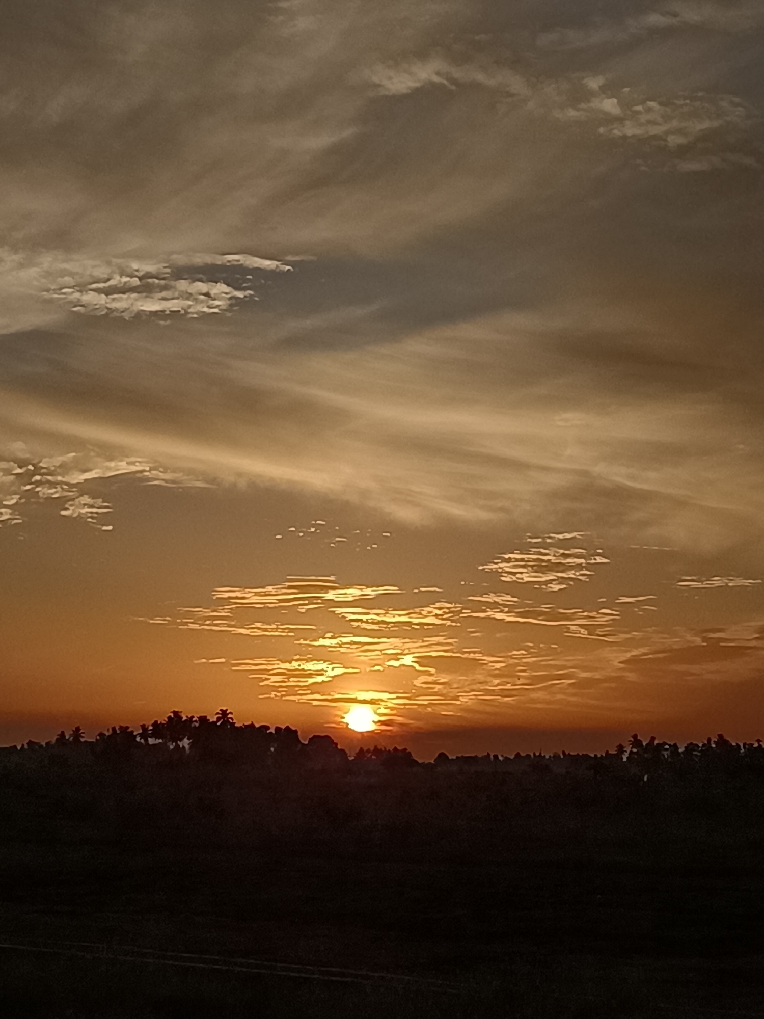 A sunset scene is depicted, featuring a horizon line silhouetted by trees and foliage. The sun, a bright orange orb, is partially obscured by thin clouds. The sky above is a gradient of orange and brown, with streaks of lighter clouds against the darker tones. The foreground is a dark silhouette, suggesting a landscape with some texture, possibly fields or terrain. The overall impression is one of natural beauty at dusk. The image is a photograph taken at eye level, capturing a wide expanse of the sky and the dark landscape below. The specific location in Meunasah Pupu, Indonesia, is implied by the context provided, suggesting a rural or natural setting within that area.
