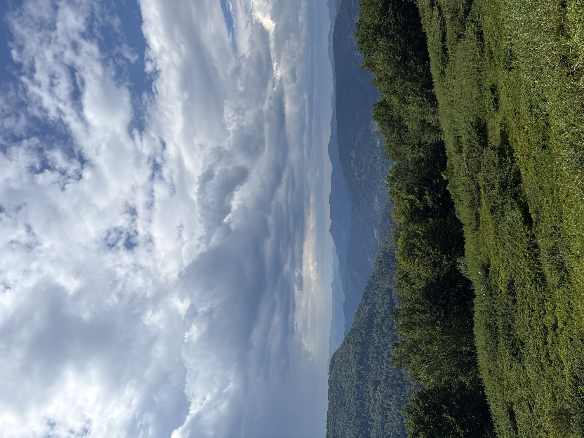 The image is a landscape photograph taken from a high vantage point in the city of Katun Vulića, Montenegro. The scene depicts rolling green hills and dense forests stretching towards a series of distant, hazy blue mountains. The sky is filled with dramatic, textured clouds, ranging from bright white to dark, stormy gray, with patches of blue sky visible. In the foreground, a lush, overgrown hillside is covered in various green vegetation, including tall grasses and dense shrubs. A line of dark green trees forms a distinct boundary between the foreground and the middle ground. The middle ground features more trees and the beginning of the mountainous terrain. The background consists of layered mountain ranges fading into the distance. There are no people or man-made structures visible in the frame, emphasizing the natural and wild character of the landscape. The overall impression is one of a vast, untamed natural environment under a dynamic sky.