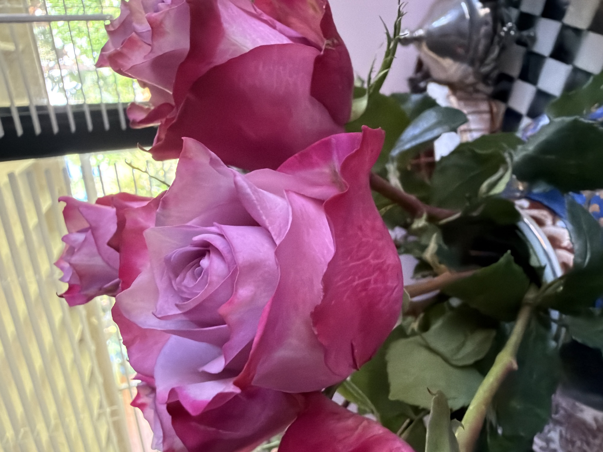 The image shows a close-up of several pink and purple roses in a vase. The roses have delicate petals that are a gradient of color, from a deep magenta at the edges to a soft lavender at the center. Some of the roses are fully bloomed, while others are still partially closed. Green leaves and stems are visible below the flowers. In the background, a checkered pattern is visible, possibly a tablecloth or a tile floor. There is also a silver-colored object that resembles a small teapot or creamer, and vertical blinds with light filtering through them. The scene appears to be indoors, with natural light coming from a window. The overall impression is one of natural beauty and a touch of elegance. The image was taken in Riviera Beach, United States of America.