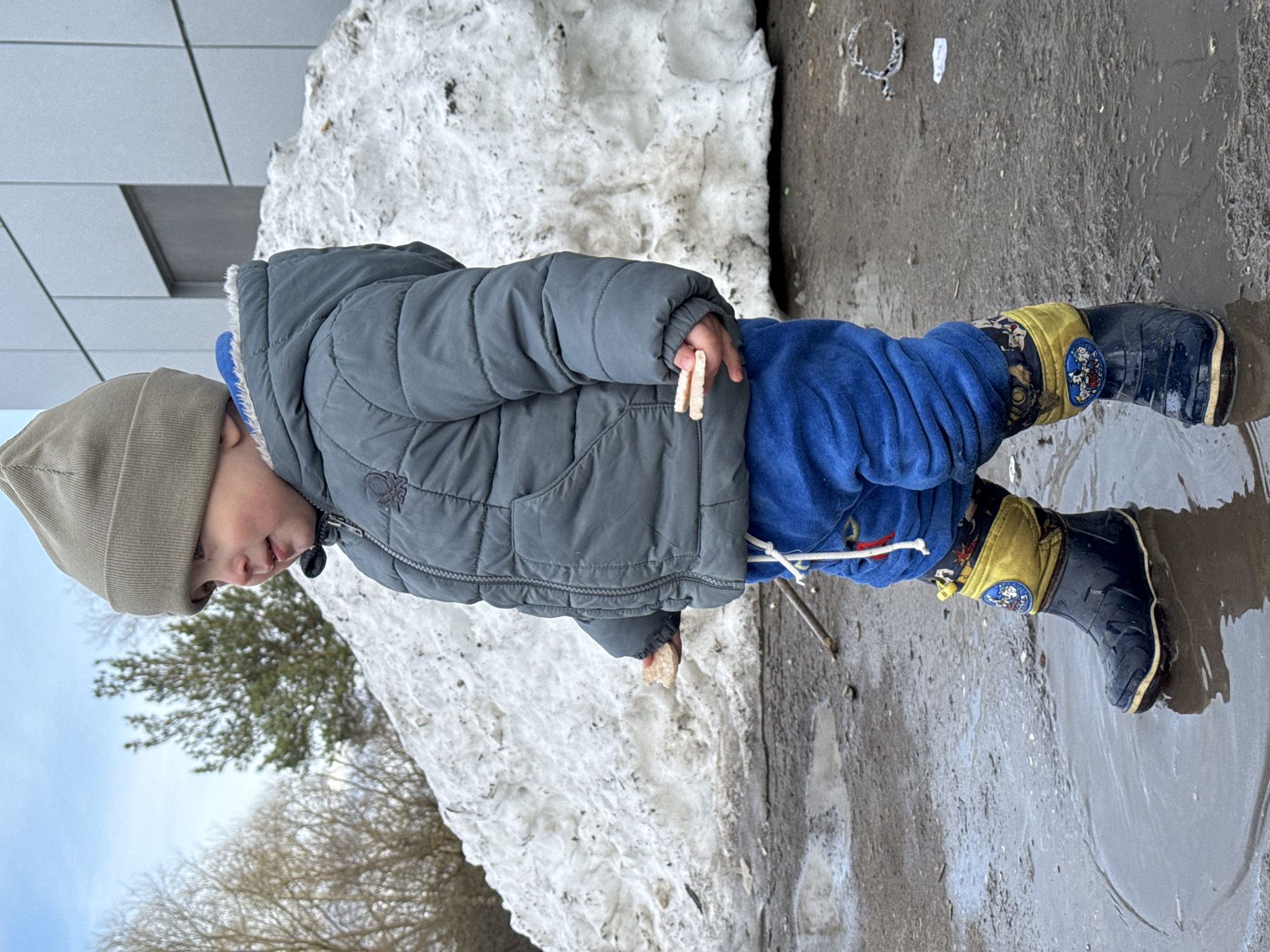 A young child stands next to a snow pile in an urban environment. The child is wearing a gray, quilted winter coat, blue pants, a beige knit hat, and dark rubber boots with yellow accents. He is holding what appears to be small pieces of food in his hand. One of the child's boots is partially submerged in a puddle. Beside the snow pile, there is a building with horizontal panels. Bare trees are visible in the background against a light blue sky. Debris, including what appears to be a metal chain, are scattered on the ground.