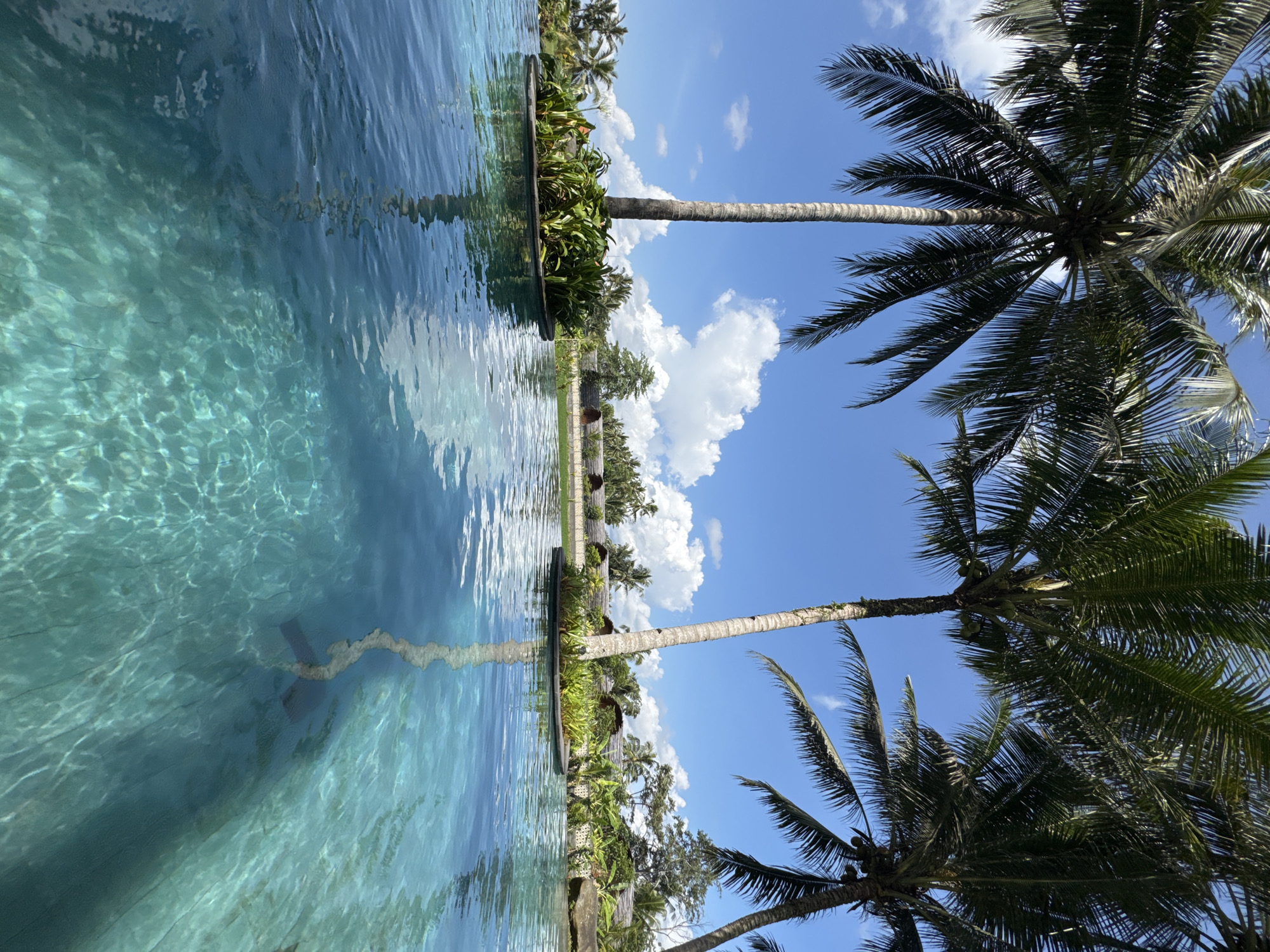 The image shows a view from a pool in Peliatan, Indonesia. The water is turquoise and reflects the sky, clouds, and surrounding vegetation. Two tall palm trees frame the right side of the image, their fronds reaching into the blue sky with scattered white clouds. The edge of the pool has a dark ledge with lush green plants behind it, and beyond that, more tropical trees and vegetation. A thin rope or cable runs through the water, appearing as a light, irregular line. The overall impression is one of a serene, tropical landscape.