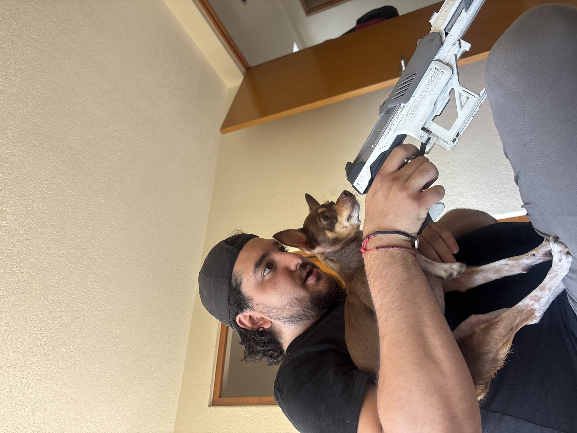 This low-angle indoor shot, taken in Puebla, Mexico, features a young man interacting with a small dog. The man, with a beard and dark hair visible from under a black backward baseball cap, is wearing a black t-shirt. He cradles a small, light brown Chihuahua-type dog in his left arm. In his right hand, he holds a white and grey toy gun, which has "ACCUSTRIKE" and partially visible "FALCON" text on its side.
The dog is looking intently upwards towards the toy gun, held by the man. The man also looks upwards with a slightly open mouth, suggesting engagement, surprise, or a playful expression. On the man's left wrist, several woven string bracelets in red and black, along with a white bead, are visible. The background consists of a light-colored, textured wall and a brown wooden shelf or ledge, indicating an indoor, possibly domestic, setting. The lighting appears bright and natural, suggesting it is daytime. The overall scene captures a moment of curious or playful interaction between the man and his pet.