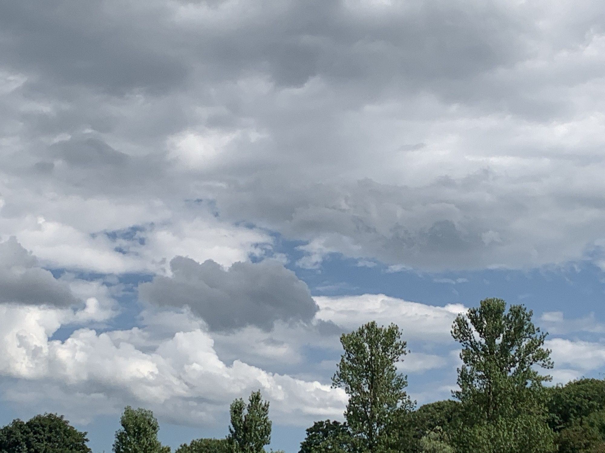 This is a wide-angle, eye-level outdoor photograph of a sky filled with a mix of dark gray storm clouds and bright white cumulus clouds, with patches of blue sky visible between them. In the lower portion of the image, a dense line of green trees forms a natural horizon. The overall impression is one of an overcast day with possible rain. There are no people or man-made structures visible in the frame, and the scene does not provide any specific geographic indicators that would allow for identification of a location within Kolomyia, Ukraine.