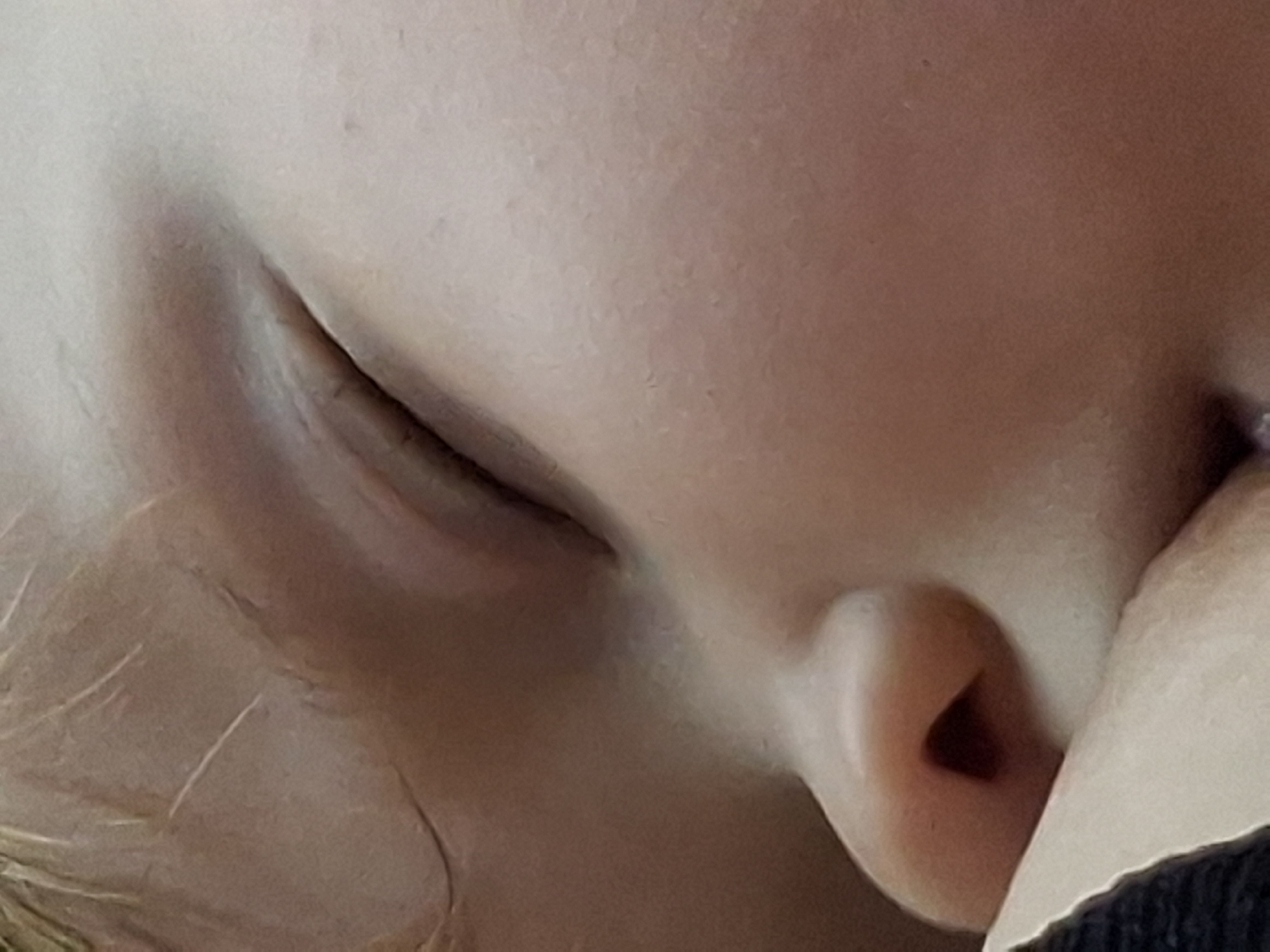 The image is a close-up, macro shot of a baby's face as it sleeps. The baby's right eye is closed, with eyelashes visible. The bridge of the nose is prominent, and the nostrils are dark. The baby's cheek is smooth and rounded, with subtle variations in skin tone. A small portion of the baby's mouth and chin is visible, where it appears to be nuzzling against a soft, light-colored surface. The background is out of focus, but suggests a muted, possibly indoor environment. The image does not contain any elements that would allow for the identification of a specific location in the city of Semey, Kazakhstan.