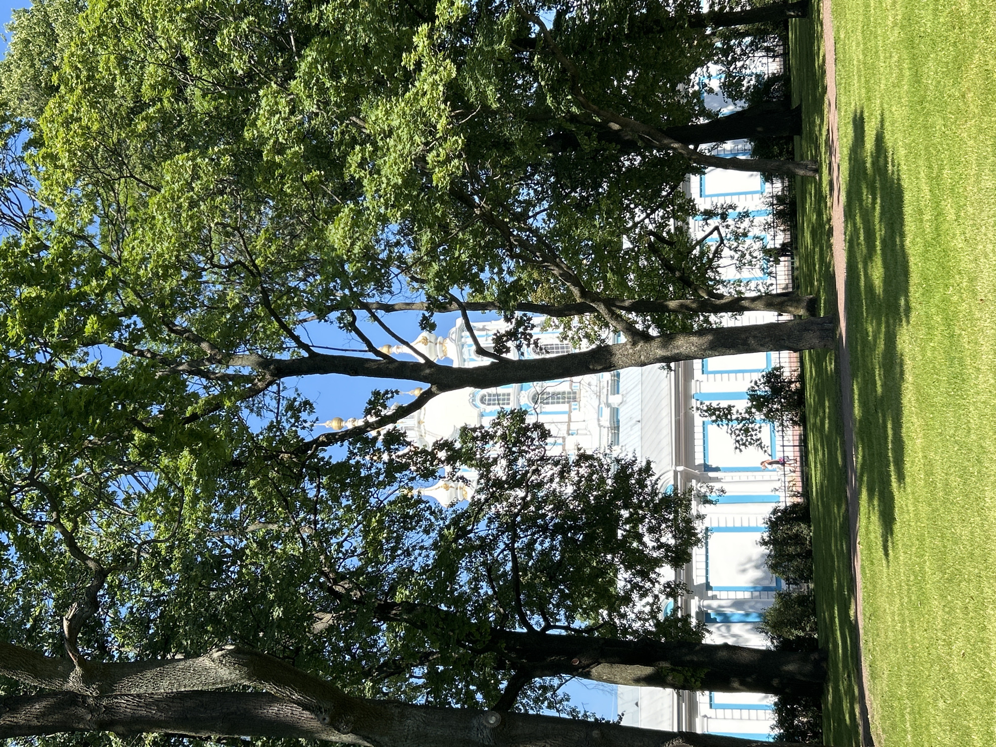 This image captures a bright, sunny day in a park in Saint Petersburg, Russia. In the foreground, a well-maintained green lawn is bathed in sunlight, with dappled shadows cast by unseen trees. A pathway is visible curving through the grass. Beyond the lawn, a white building with blue accents stands behind a row of trees. This building features a long facade with evenly spaced blue-bordered window-like panels. Several large trees with lush green foliage dominate the midground, partially obscuring the view of the building. In the distance, the white domes and spires of a larger structure, possibly a church or cathedral, rise above the trees, their golden tips glinting in the sunlight. A single person is seen walking in the middle ground along a path in front of the building, creating a sense of scale. The sky is a clear, vibrant blue. The overall scene suggests a tranquil and picturesque setting within an urban park.