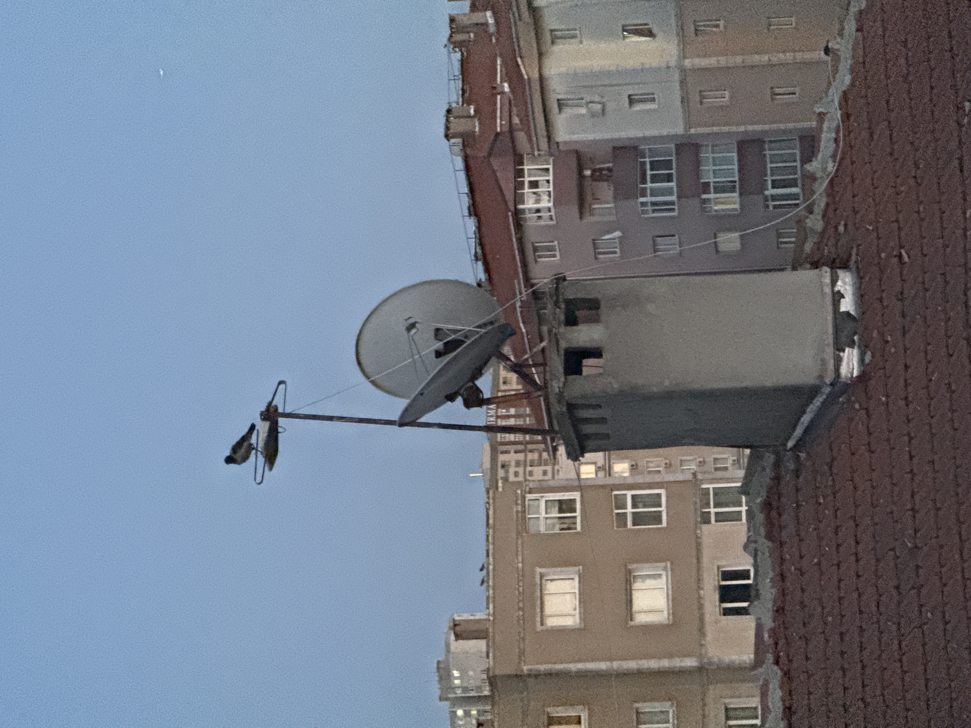 A bird is perched on top of a satellite dish mounted on a chimney. The chimney is located on the roof of a building in Gungoren, Turkey. The sky is a clear blue, and there are several other buildings visible in the background, some of which have satellite dishes on their roofs. The image appears to have been taken during the day, possibly at dusk or dawn due to the soft lighting. The buildings are made of concrete and brick and appear to be apartment buildings.