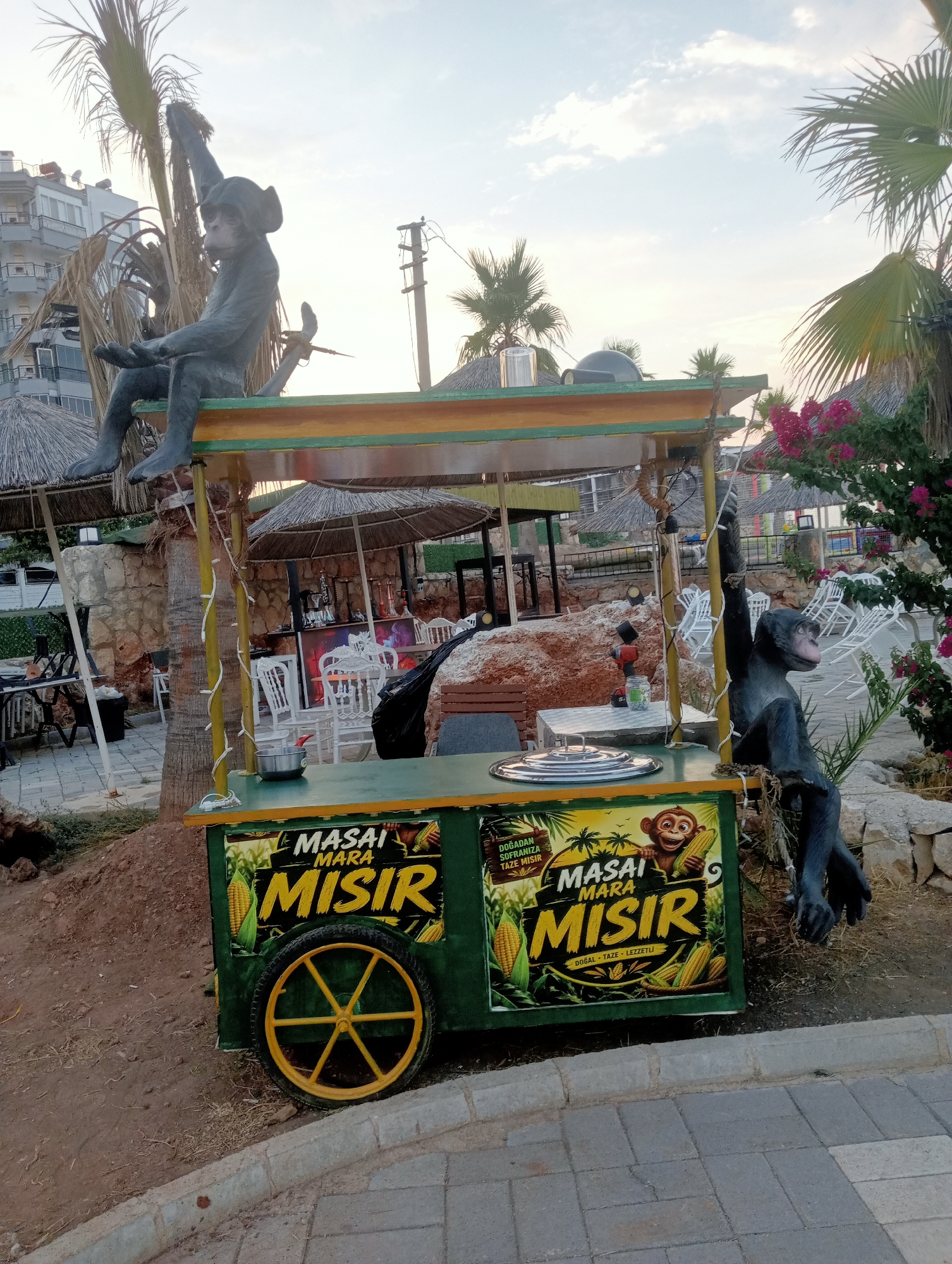The image depicts an outdoor scene with a food cart decorated with monkey imagery. The cart is green with yellow trim and features images of corn and monkeys, along with the text "MASAI MARA MISIR". Two life-sized monkey statues are present: one sitting on top of the cart and another hanging from a pole beside it. The food cart is situated on a paved area with a dirt embankment in the foreground. In the background, there are thatched umbrellas, tables, chairs, and a building. Palm trees and some pink flowers are also visible, suggesting a tropical or subtropical environment. The sky is partly cloudy, indicating it is daytime. The overall scene appears to be a casual outdoor setting, possibly a park or a tourist area, where the food cart is set up for business.