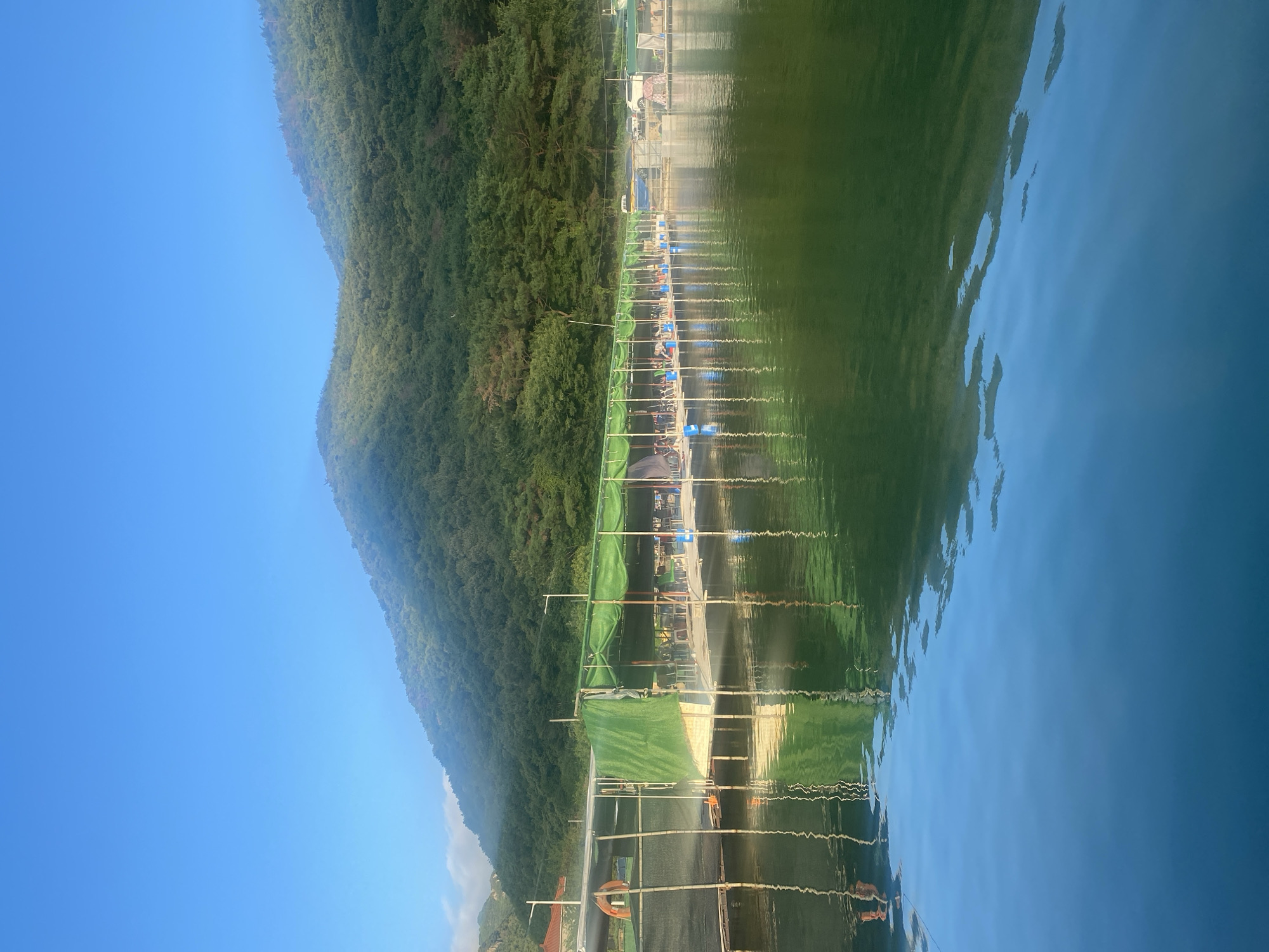 This image depicts a fishing facility on a tranquil body of water, likely a reservoir or lake, situated at the foothills of a verdant, tree-covered mountain range. The facility consists of a long, elevated wooden platform with a green tarp covering, providing shade. Along the platform, numerous fishing rods are set up, and individuals can be seen sitting on chairs, actively fishing. Several cars are parked in the background, suggesting a recreational area. The water's surface reflects the sky and the surrounding landscape, creating a serene and picturesque scene. The location is identified as a fishing spot in Yangsan-si, South Korea, known for its natural beauty and outdoor activities.