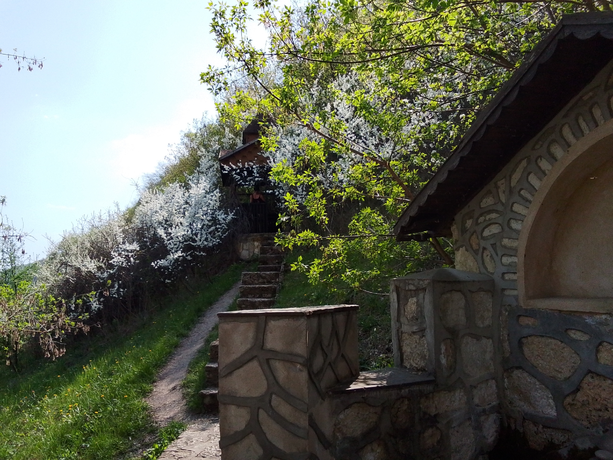 The image depicts a scene in Каменка, Russia, featuring a stone structure with an arched opening and a wooden roof. Adjacent to it is a pathway with stone steps leading upwards. Lush vegetation surrounds the path, including trees with white blossoms, suggesting springtime. The image captures a tranquil outdoor setting.