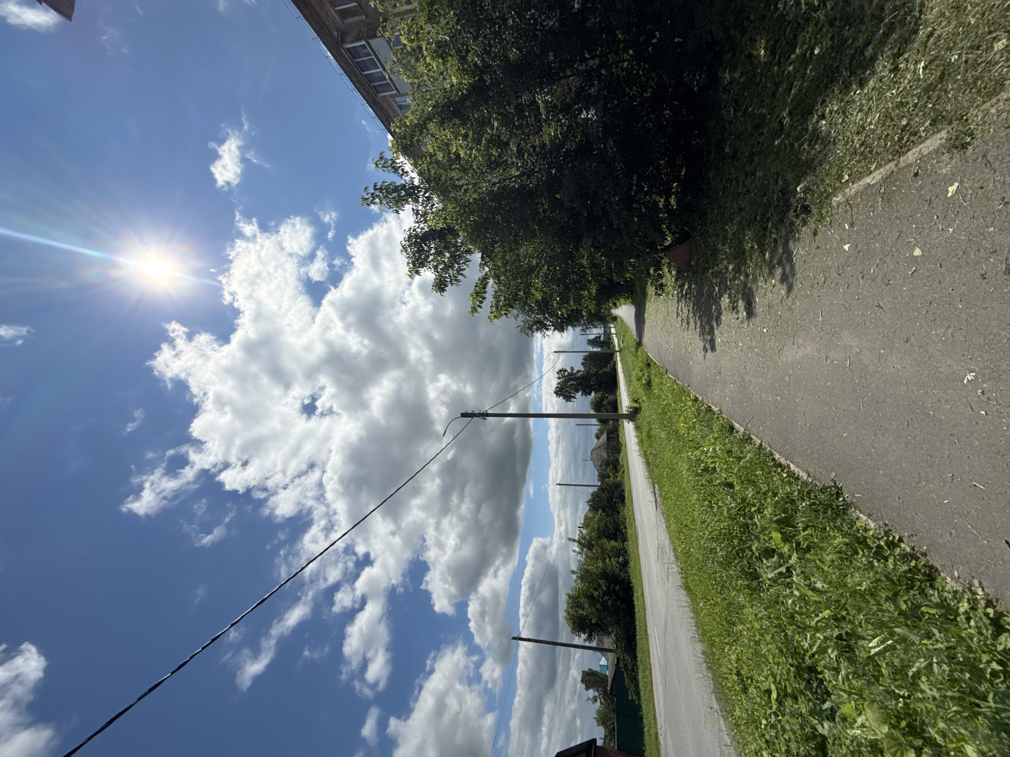 A paved sidewalk runs along a two-lane asphalt road in a semi-urban or rural setting. Tall green grass and weeds border the road and sidewalk. On the right side of the sidewalk, a dense, dark green bush or tree lines the edge of a brick building, which has multiple windows. A power line stretches across the bright blue sky, dotted with fluffy white clouds. The sun shines brightly, casting a lens flare in the upper portion of the image. In the distance, along the road, several houses with pitched roofs and trees are visible. A lamppost stands on the side of the road. The overall impression is of a sunny day in a residential area.