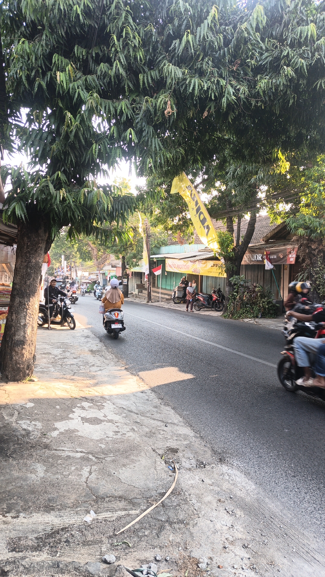 This image depicts a street scene in Dawe, Indonesia, likely during the daytime due to the sunlight casting shadows. The foreground shows a cracked concrete sidewalk with some debris, including small stones and a piece of curved wood. A portion of an asphalt road is visible to the right.
In the midground, several motorbikes are present. One motorbike is being ridden by a person wearing a tan headscarf and tan clothing, moving away from the camera on the asphalt. Another motorbike, black with a rider in black clothing, is parked on the sidewalk on the left side of the image. Further down the road, more motorbikes are visible, some parked and some in motion.
On the right side of the road, there are buildings with green and wooden facades. Yellow banners are hanging from some of these buildings, one prominently displaying text. Indonesian flags are also visible, attached to poles in front of some establishments. Several people are seen standing and interacting near these buildings.
The upper portion of the image is dominated by the dense foliage of a large tree, casting shade over the scene. The leaves are long and narrow, and the sunlight filters through them in places. The overall impression is a typical street in a residential or commercial area of a town in Indonesia.