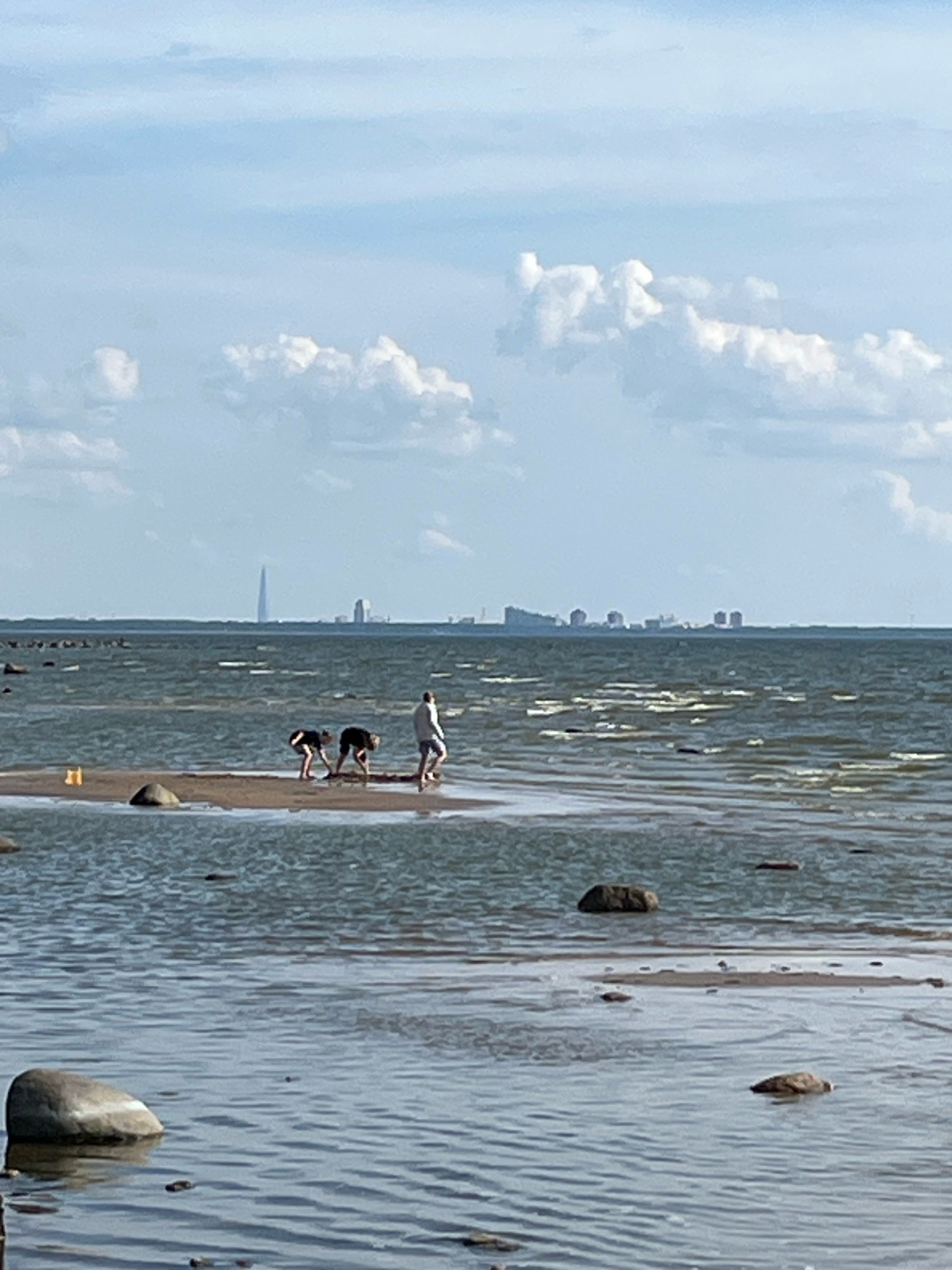 The image depicts a panoramic view of the Gulf of Finland near Komarovo, Russia. In the foreground, shallow water with ripples and scattered rocks creates a textured surface. A few larger rocks are visible submerged or partially exposed. Further into the water, a small sandbar emerges, occupied by three individuals. Two are bent over, appearing to be searching or digging, while a third person stands nearby. In the distance, a city skyline is visible on the horizon, dominated by a tall, slender tower, likely the Lakhta Center in St. Petersburg. The sky above is a pale blue, with scattered white cumulus clouds. The overall scene suggests a calm, daytime setting at the seashore.