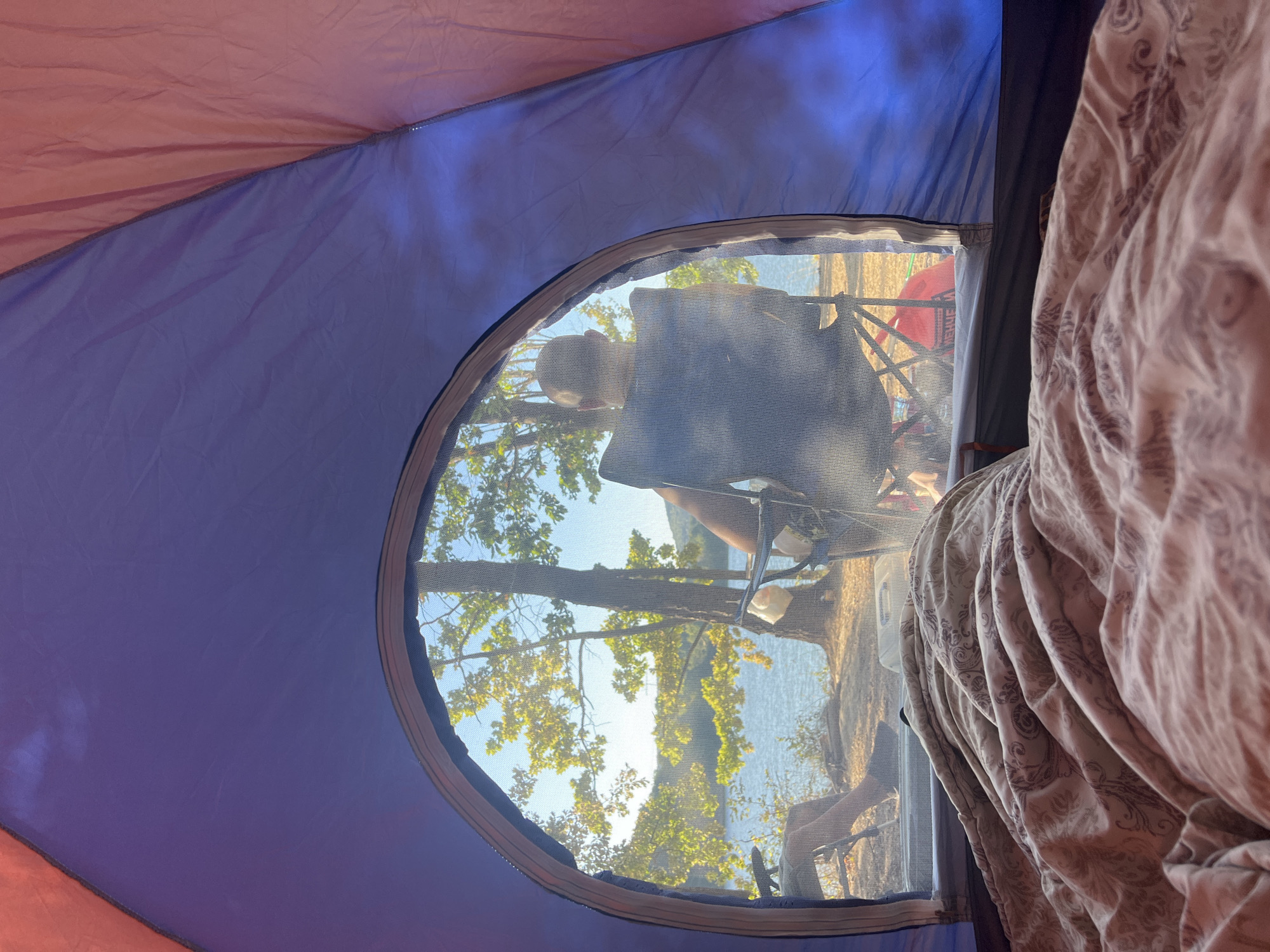 This is a photograph taken from inside a tent, looking out an arched opening with mesh screening. In the foreground, a neatly made bed with a patterned comforter is visible. Outside the tent, a serene lake or body of water is bordered by trees with yellowing leaves, suggesting autumn. The sun is setting or rising, casting a warm glow on the scene. A person, seen from behind, sits in a camping chair facing the water, appearing relaxed. Another person's legs are visible in a camping chair to the left. The overall impression is one of peaceful outdoor recreation, possibly in the vicinity of Brachkovtsi, Bulgaria, given the natural landscape.