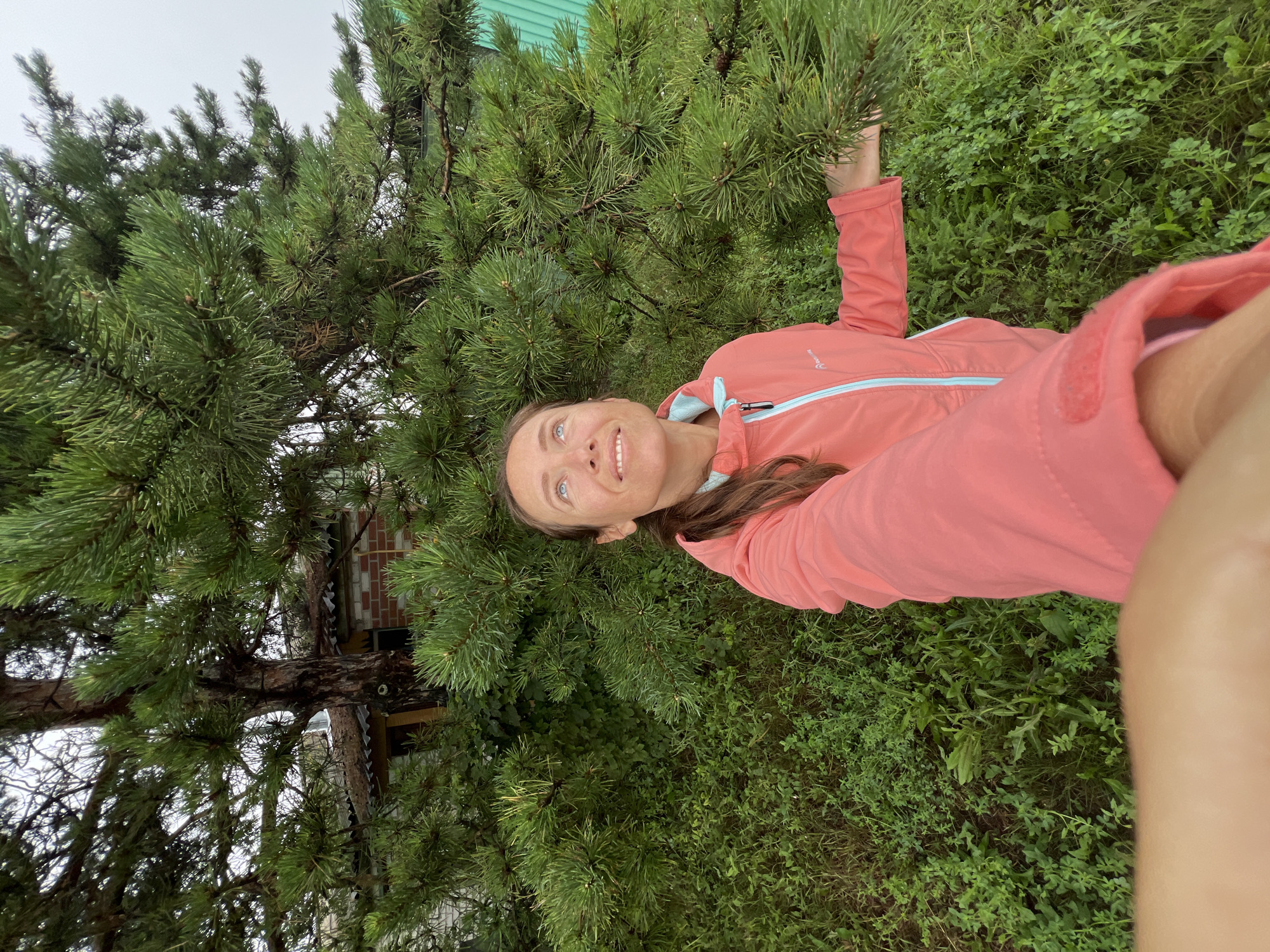 A woman stands in front of a large pine tree, looking upwards with a smile. She is wearing a pink jacket with blue trim. The tree has thick, green needles and is surrounded by lush green grass and other foliage. In the background, a brick building with a corrugated metal roof can be seen peeking through the branches of the tree, along with a green corrugated metal structure. The sky above is overcast. The image appears to have been taken in Pivkino, Russia.