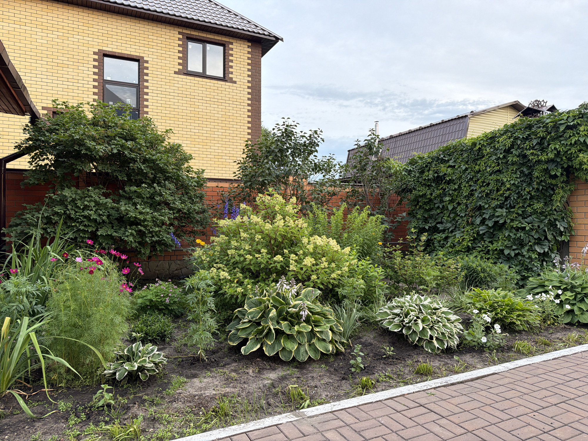 The image depicts a landscaped garden bed in front of a yellow brick house located in the city of Kamenka, Russia. The garden features a variety of plants including hostas with variegated leaves, pink cosmos flowers, and a large, bushy plant with pale yellow blooms. A green vine covers a brick wall to the right of the frame. The house has brown trim around two windows and a dark brown roof. The ground in the garden bed appears to be dark soil with scattered green foliage and some bare patches. A paved walkway made of red bricks with white edging runs along the bottom of the image. The sky is cloudy. There are no people visible in the image.