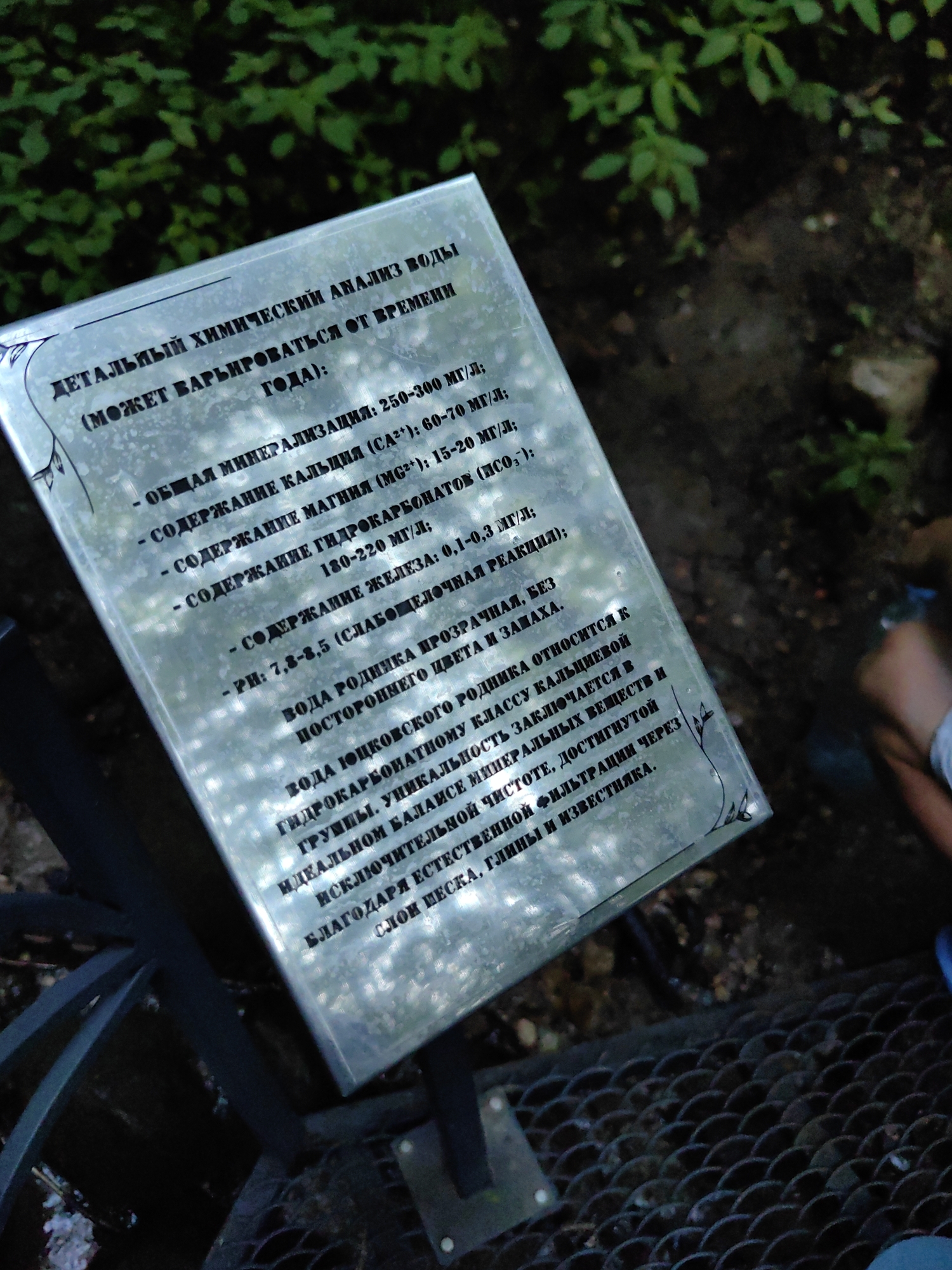 The image shows a metal sign with black text in Cyrillic script, tilted at an angle. The sign is located outdoors, with blurred green foliage in the background. The text on the sign appears to be a chemical analysis of water. The sign is mounted on a metal structure. The lower right portion of the image shows a person's legs and lower torso, wearing dark clothing, and part of a metal grate. The text on the sign is partially obscured by glare and the angle of the photograph. The overall scene suggests an informational display at a natural site.