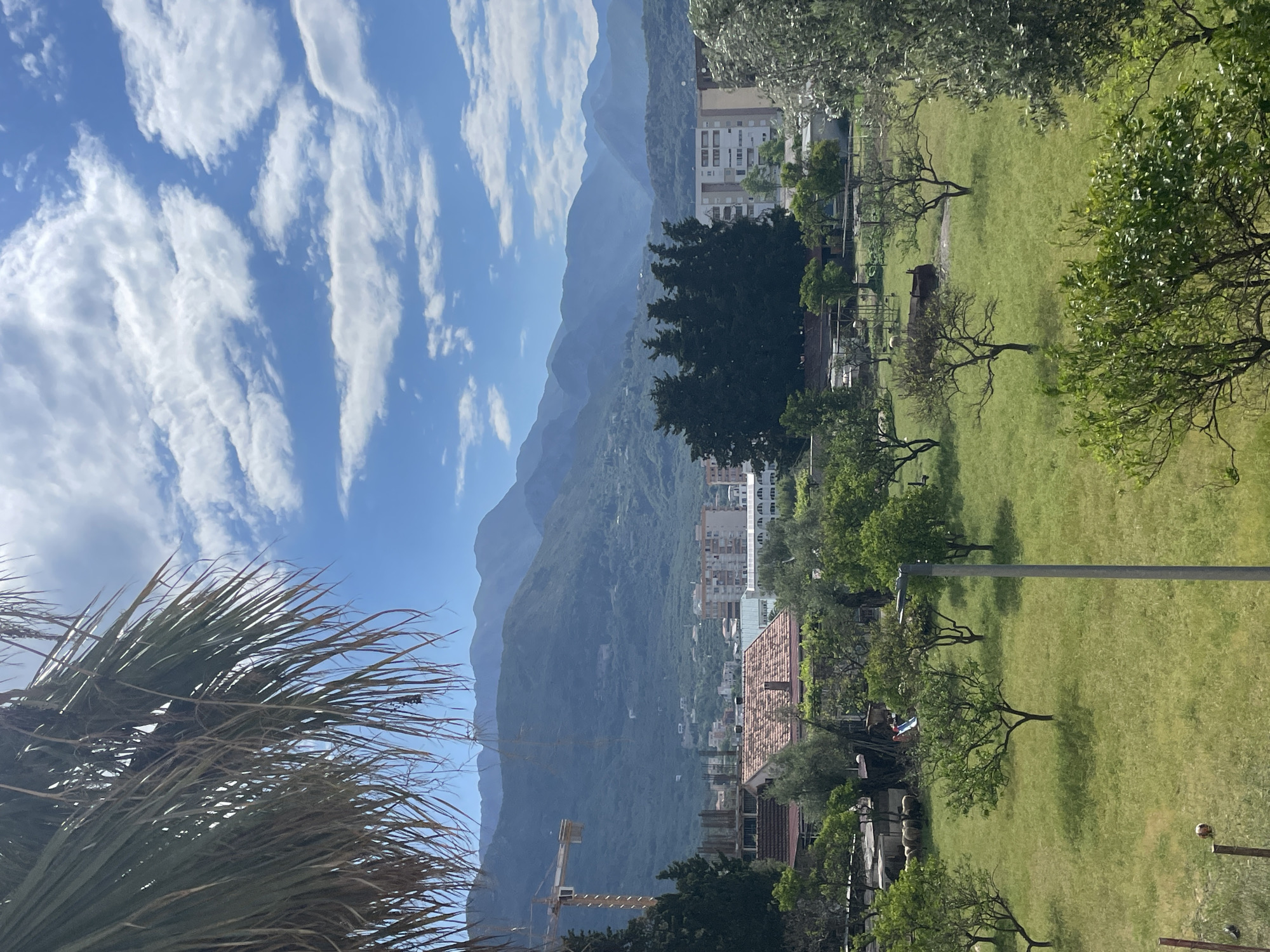The image depicts a scenic view in Bar, Montenegro, featuring a mountain range in the background under a partly cloudy sky. In the foreground, a palm tree frames the left side of the image. A residential area is situated between the mountains and the foreground, with buildings and houses visible. A grassy park-like area occupies the right side of the image, dotted with trees and what appears to be a utility pole. A construction crane is visible in the lower-left area of the image. The landscape suggests a blend of urban and natural elements characteristic of the coastal city.