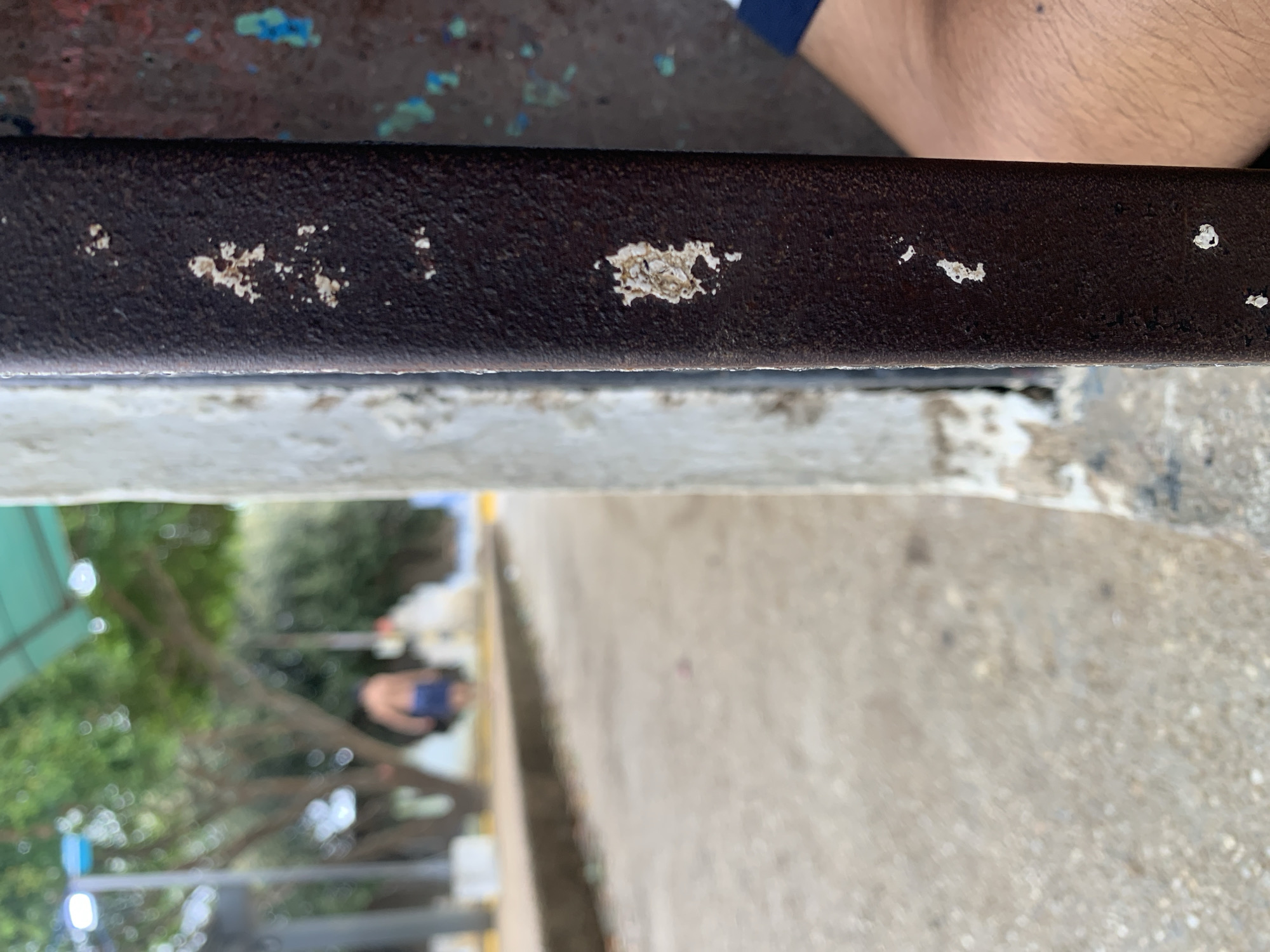 This image presents a low-angle, rotated close-up perspective, primarily focusing on the texture of a metal bar in the foreground, with a heavily blurred outdoor background. The top of the frame shows a rough, textured surface speckled with blue, red, and brown, possibly a painted concrete structure.
Dominating the mid-ground horizontally is a dark, rusty metal bar or railing, exhibiting a coarse texture. Several irregular white patches are visible on its surface, suggesting peeling paint, corrosion, or possibly a type of growth like lichen. Below this bar, there is a lighter, textured horizontal surface, likely part of the surrounding structure.
The background is deeply out of focus, revealing an outdoor scene, likely in La Tagua, Venezuela. To the left, indistinct green foliage indicates trees or bushes, suggesting a park-like or natural environment. Blurred light sources or reflections are also present. To the right, a light-colored, grainy surface appears to be a paved path or ground. In the distance, a blurry figure of a person is visible, holding a blue object that resembles a mobile phone. Another blurred human limb, appearing to be a leg or arm with visible hair, is partially seen in the top right corner, likely belonging to the person taking the photograph or someone nearby.
The image captures an ordinary moment, emphasizing textures and an atmospheric depth of field. There is no visible text. The time of day appears to be daytime, given the natural light, but specific weather conditions are not discernible. No particular event or strong emotion is conveyed, rather a focus on material detail against an ambient backdrop.