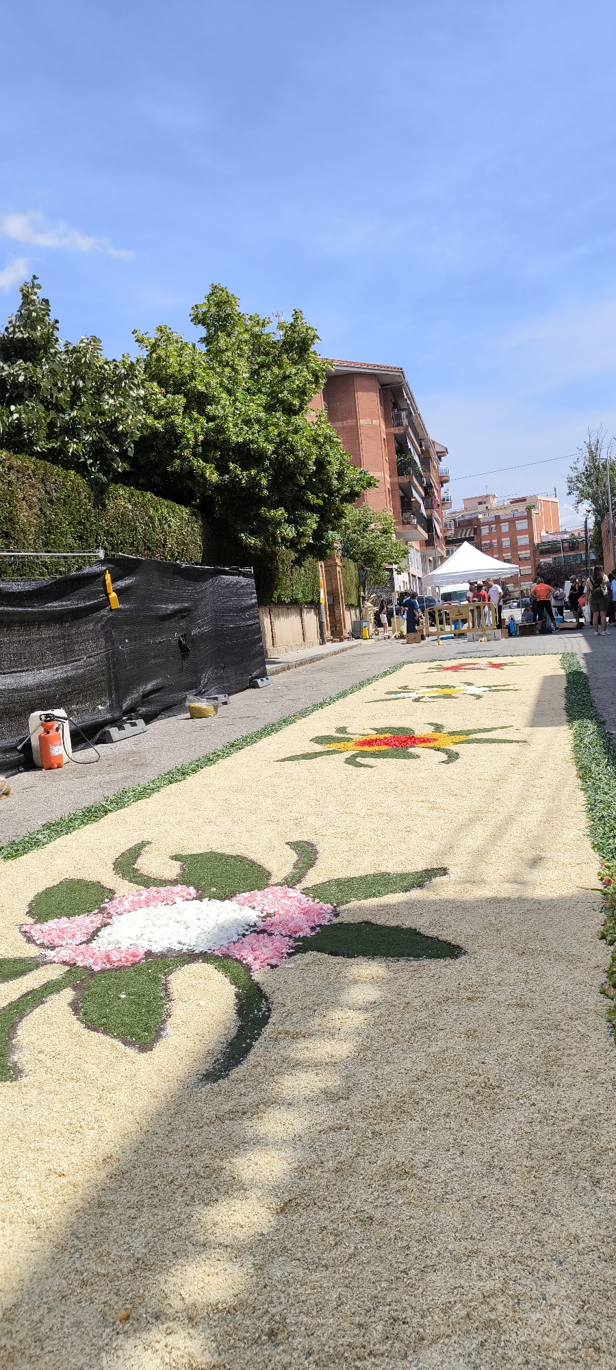 The image displays a street scene in Ripollet, Spain, under a clear blue sky with scattered white clouds. The primary subject is a long floral carpet laid directly onto an asphalt street. This carpet is constructed using a base of light-colored granular material, likely rice or sawdust, interspersed with designs formed from green granular material and colored petals. In the foreground, a large design resembling a pink and white flower with dark green leaves is prominent. Further down the street, smaller distinct patterns of red and yellow flowers are visible along the carpet's length. The carpet is bordered on both sides by a narrow strip of green granular material.
On the left side of the street, a black mesh barrier, supported by grey blocks, runs parallel to the carpet. Behind this barrier, a dense green hedge and several mature trees are visible. An orange pressure sprayer with a black hose and a transparent plastic container filled with light-colored granular material are positioned on the asphalt near the barrier. In the background on this side, a multi-story brick building with balconies and a red-tiled roof is partially seen. Strong shadows are cast across the floral carpet from the left side of the street.
On the right side of the street, a white canopy tent is erected, fronted by yellow plastic crowd control barriers. Approximately a dozen individuals are observed in the midground and background, congregating near the tent and further down the street, most standing or moving slowly. These individuals appear to be attendees or personnel associated with the event. Multiple multi-story brick buildings, typical of urban residential architecture, line both sides of the street in the distant background. The scene suggests a public event, possibly an "Infiorata" or similar floral street art exhibition.