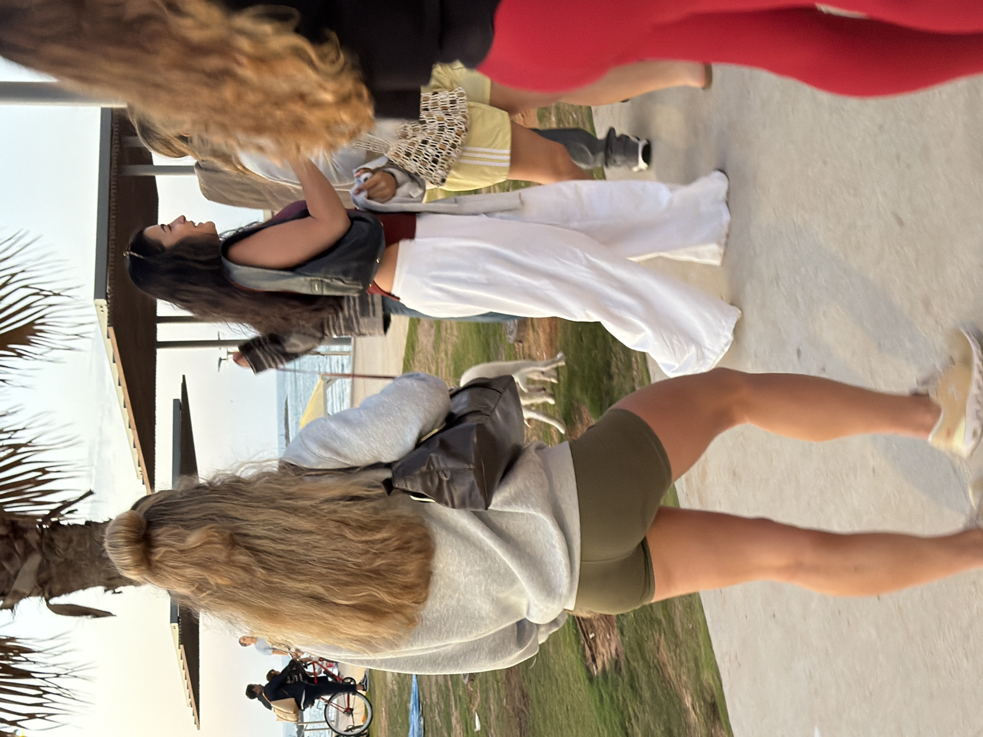 The image depicts a group of people on a paved walkway adjacent to a grassy area, likely a coastal park, with a palm tree visible on the left side of the frame. In the background, there is a view of the sea and a structure, possibly a canopy or shade structure, along the beach.
People:
* A woman with blonde hair pulled back in a bun wears a light gray sweatshirt, olive green shorts, and light-colored sneakers.
* A woman with long, dark hair wears a purple top, a jean jacket, and white pants.
* Another woman is wearing yellow shorts with a pattern and a light-colored shirt.
* A woman wears red leggings.
* A man on a bicycle is visible in the background.
Objects:
* A black bag is slung across the woman in the sweatshirt's body.
* Palm tree
* Sidewalk
* Green area
* Ocean
Actions:
* People are walking along the sidewalk.
* Someone is riding a bicycle.
Location Details:
* The presence of the sea, palm tree, and style of architecture suggests the image was taken in Tel Aviv, Israel. The specific location is most likely a park or promenade along the Mediterranean coast.