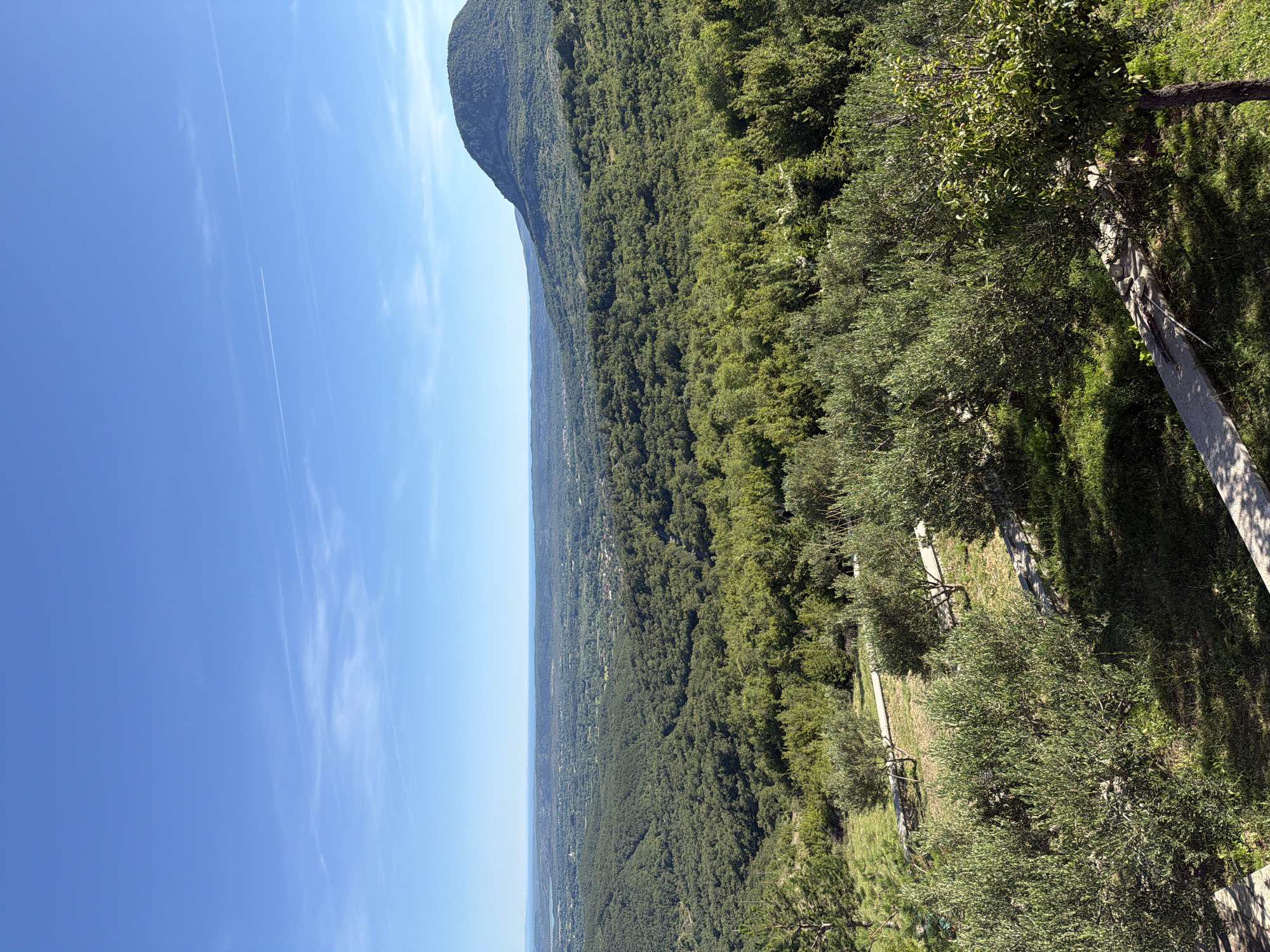 The image depicts a panoramic landscape view from a high vantage point in Braiša - Brajsh, Montenegro. In the foreground, there are several olive trees with dense green foliage, some planted on terraced ground with stone retaining walls and concrete paths. A small, leafy tree stands to the right of the olive trees.
The middle ground is dominated by a vast, undulating expanse of lush green forest that covers rolling hills. The forest is dense and appears to be a mix of deciduous and coniferous trees.
In the background, a prominent, rounded, tree-covered mountain rises against a clear, bright blue sky. The sky features a few wispy white clouds and a faint contrail from an aircraft. Beyond the forested hills and the mountain, a distant view of the sea or a large body of water can be seen on the horizon, with a hint of a coastline dotted with scattered buildings, suggesting a settlement. The overall impression is one of a serene, natural, and expansive rural or semi-rural environment.