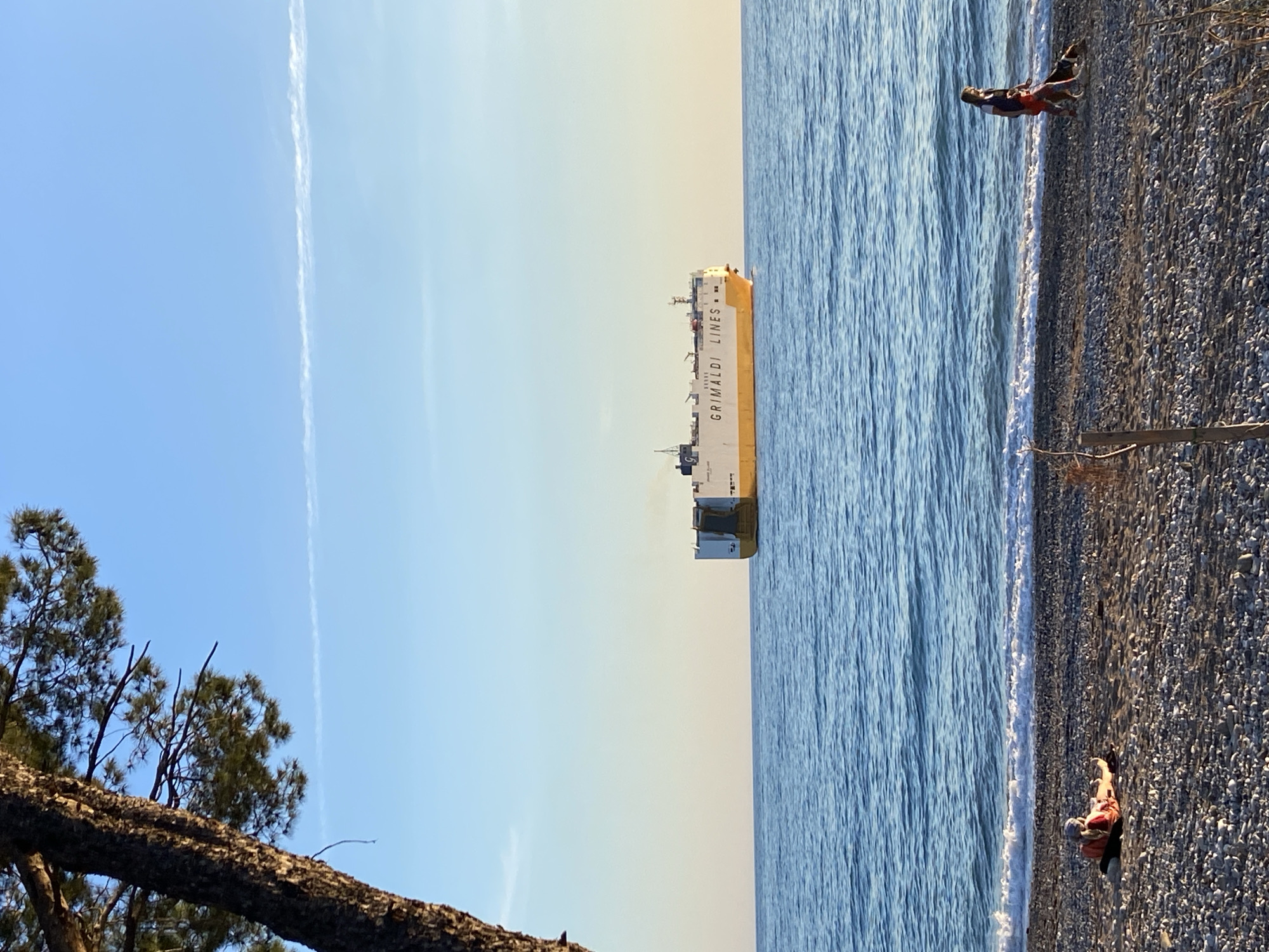 The image shows a beach scene in Bar, Montenegro. The beach is pebbled and two individuals are lying on it. Adjacent to the beach is the sea, a large Grimaldi Lines cargo ship sailing by. The sky is clear blue with a faint contrail. In the foreground, tree branches extend into the view.