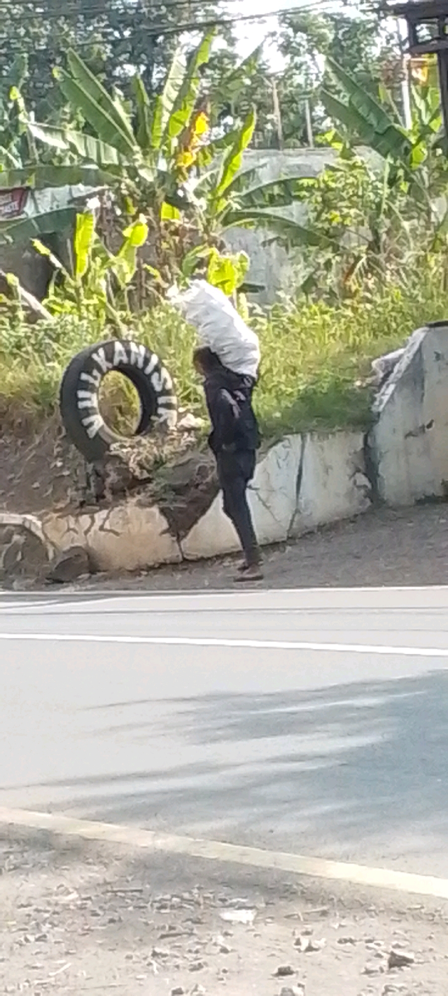 A person is walking along a road in Cilaku, Indonesia, carrying a large white bag on their shoulders. Next to them is a tire with lettering that reads "ULK ANIS IR". The person is wearing dark clothing and appears to be walking away from the camera. The background shows lush green vegetation, including banana trees, and a concrete wall. The road has white lane markings and the ground beside it is covered in dirt and rocks. The lighting suggests it is daytime.