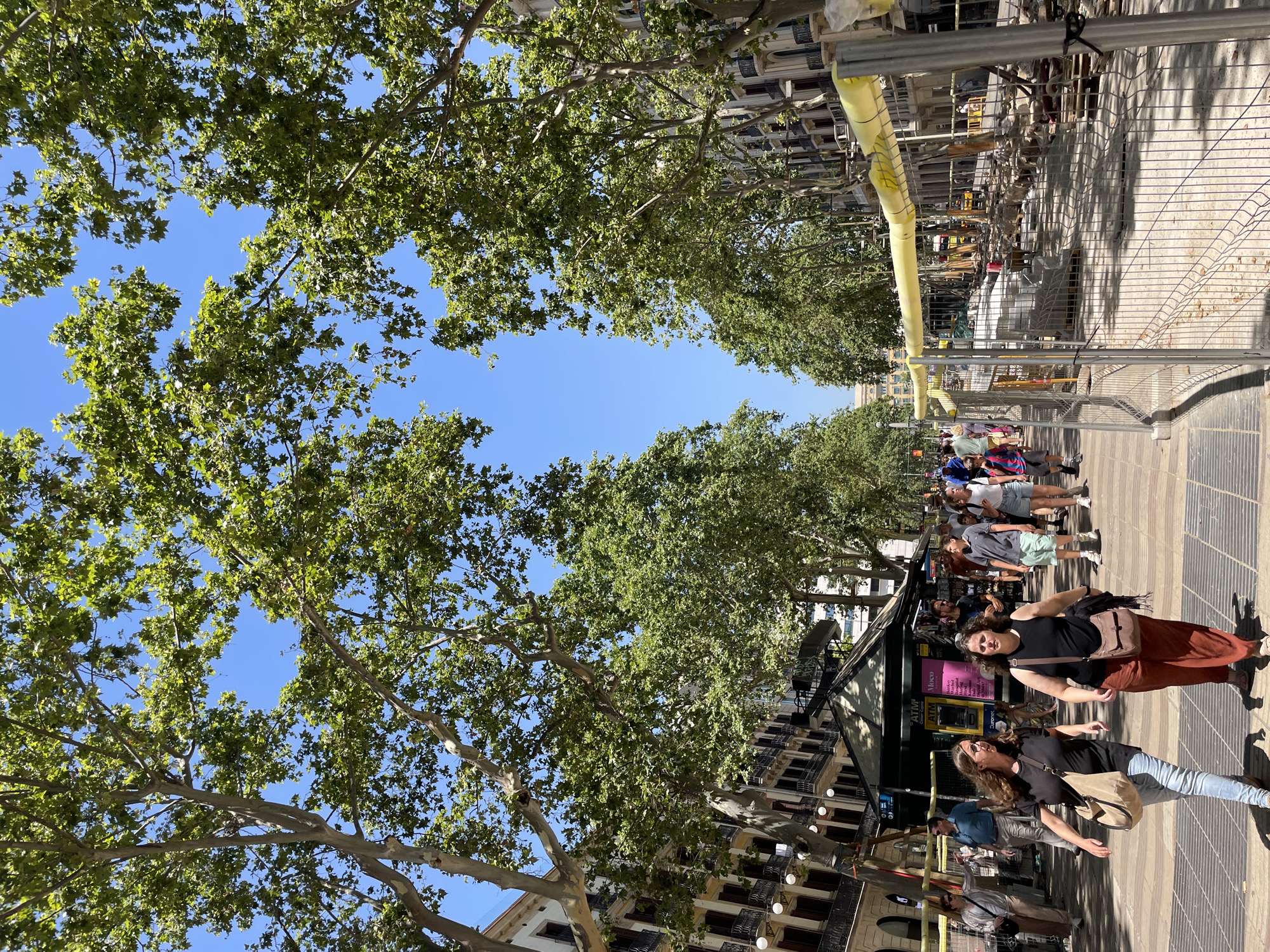 The image shows a sunny day on a tree-lined boulevard in Barcelona, Spain, likely Las Ramblas. People are walking along a pedestrian walkway. To the right of the walkway, there is construction, with temporary fencing, yellow protective tubing, and construction materials visible. The buildings on either side of the street are typical of Barcelona architecture, with multiple stories and balconies. In the background, more trees and buildings can be seen, and the sky is a clear blue.