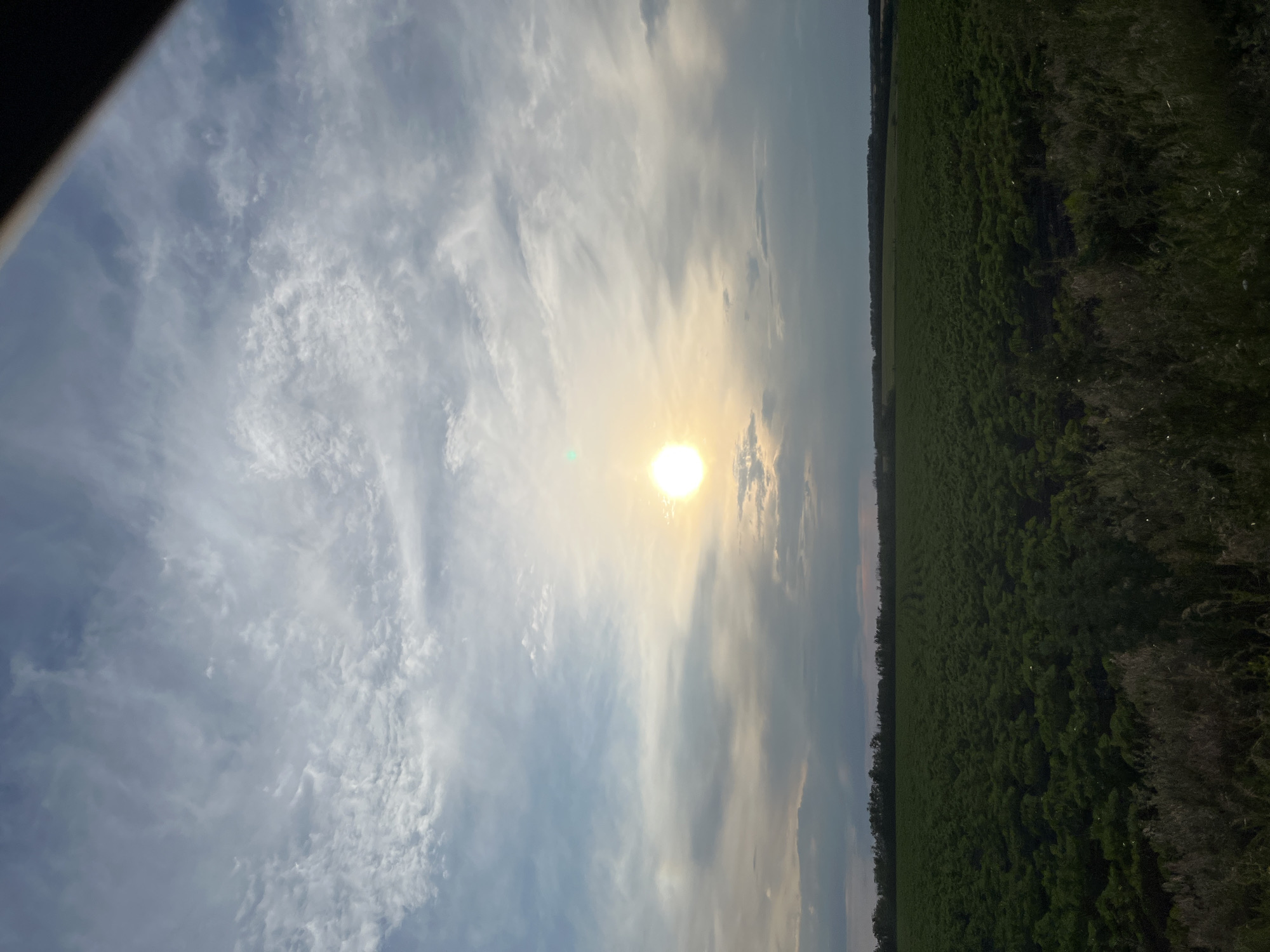 An image shows a large, green field of crops under a cloudy sky with the sun shining through. The sun is a bright white circle in the middle of the sky, casting a yellowish glow. The clouds are thin and wispy, with some darker, heavier clouds lower in the sky. The field of crops is dense and uniform, stretching to the horizon. There is a line of trees in the distance, and some tall grass in the foreground. The scene appears to be a rural landscape. The location in the city of Poltavka, Ukraine, is an agricultural area.