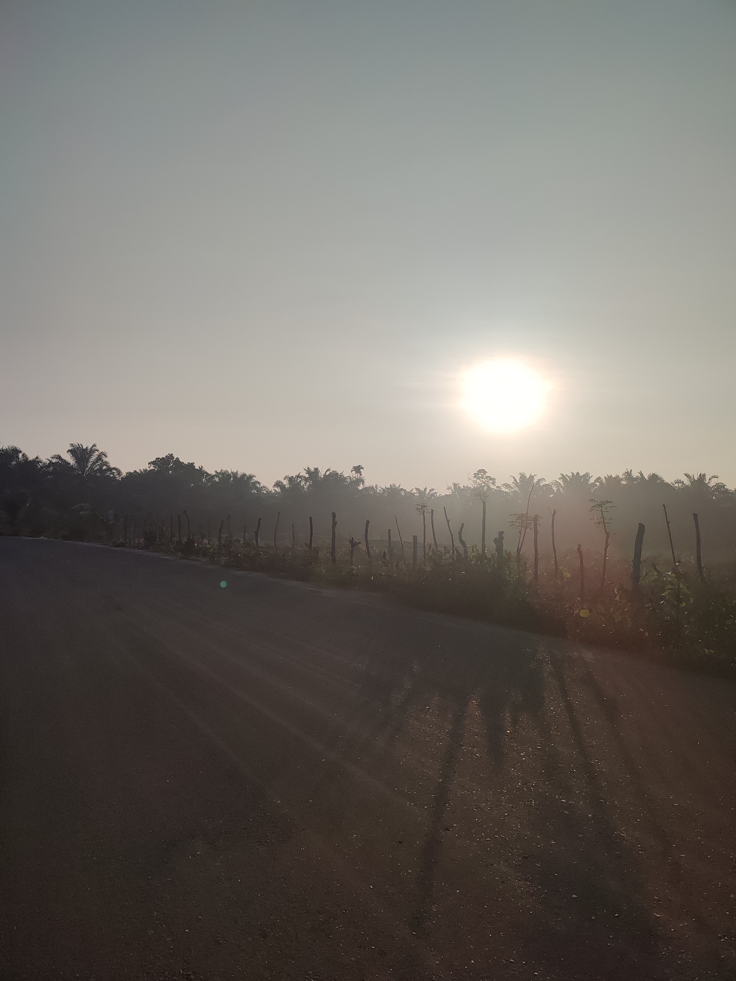The image depicts a rural roadside scene in Pantonrayeuk Satu, Indonesia, at sunrise or sunset. The sky is bright, obscuring the sun's details. A dark asphalt road stretches into the distance. To the side of the road is a rudimentary fence made of wooden posts, behind which is dense foliage consisting of trees and plants. The light casts strong shadows onto the road, emphasizing the vertical elements in the scene. There are no people visible. The overall impression is one of rural simplicity and natural beauty under a strong light source.