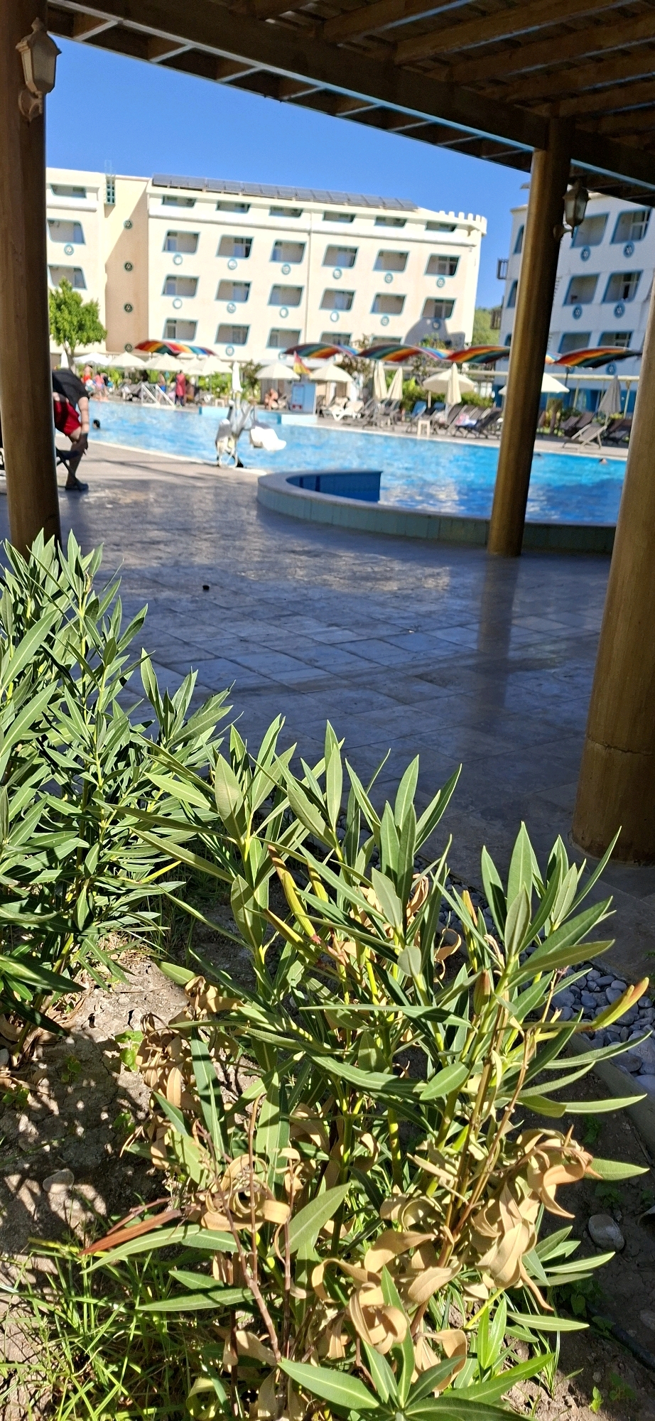 This image depicts a resort swimming pool area with a hotel in the background. The hotel is a multi-story building with a light-colored facade, numerous windows with turquoise trim, and solar panels on the roof. The pool is a vibrant blue, surrounded by lounge chairs and umbrellas, some of which have rainbow-colored canopies. In the foreground, there is lush green foliage, and the ground is paved with stone tiles. A person wearing red shorts and a dark top is visible near the edge of the pool. The scene suggests a sunny day in a tourist destination. Given the architectural style of the hotel, the presence of a large pool, and the general ambiance, this scene is consistent with a resort hotel in a Mediterranean or Aegean coastal town. Kemer, Turkey, is known for its numerous resort hotels and similar visual characteristics.
