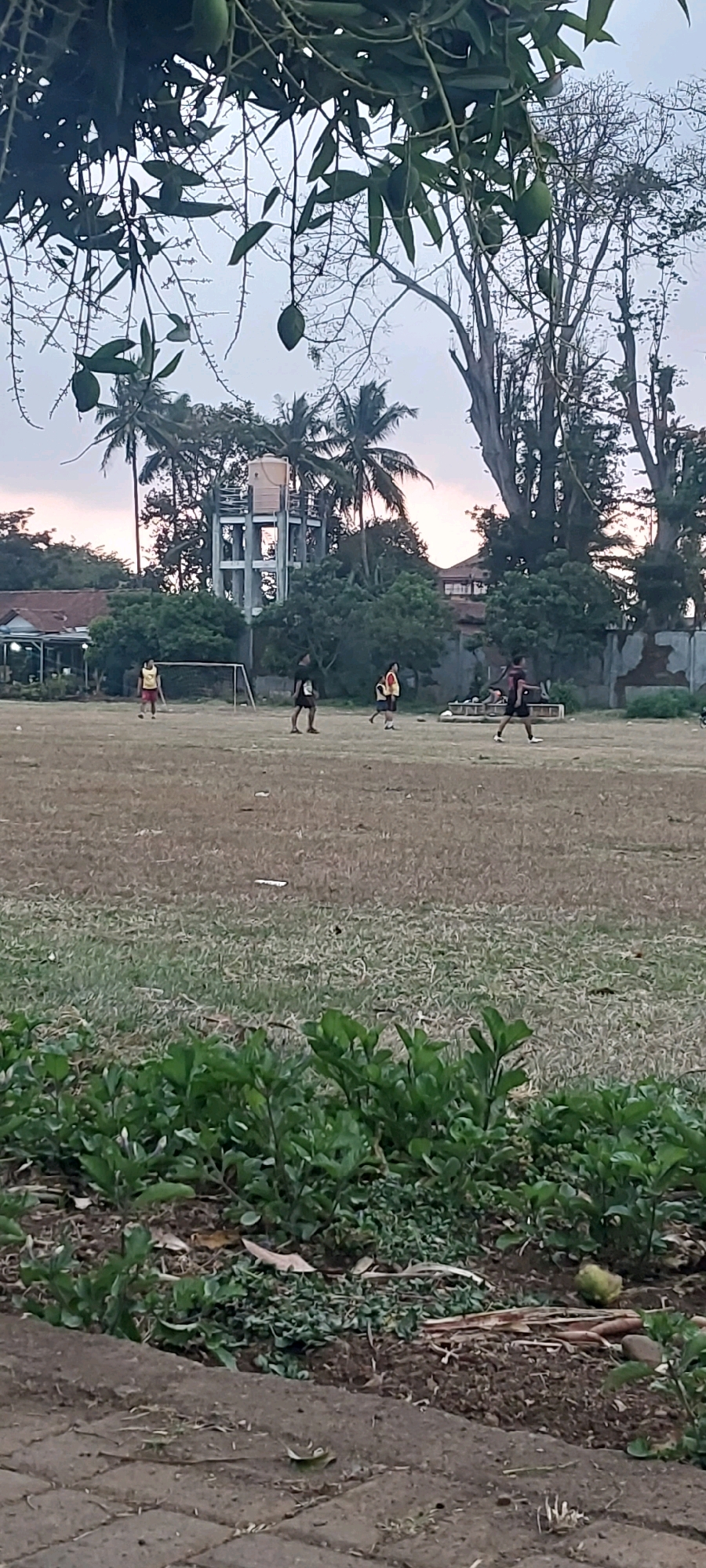 In Keling, Indonesia, a soccer game is underway on a dry, brown field. The sky is overcast, hinting at either dawn or dusk. In the foreground, lush green bushes grow alongside a paved walkway. A water tower, a common fixture in Indonesian towns, stands tall in the background, surrounded by palm trees. A few houses are visible, adding to the urban landscape. The game appears to be a casual match, with a few young people on the field.