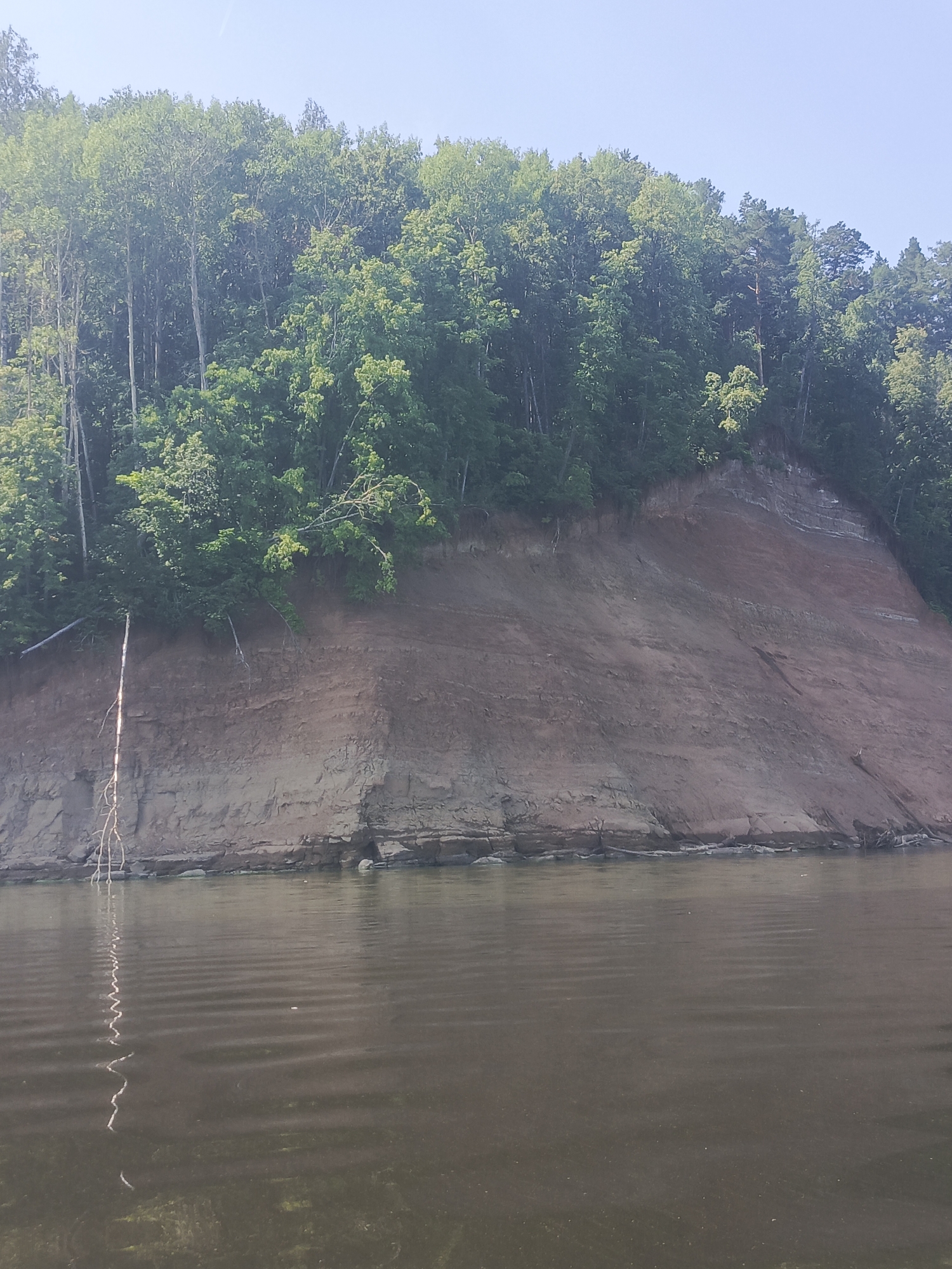 The image shows a high, eroding riverbank covered in lush green trees. The riverbank is composed of layered soil, with visible strata of reddish-brown earth. At the base of the bank, the soil transitions to rockier formations. A thin, bare tree branch emerges from the water near the left edge of the frame, its reflection creating a wavy line on the surface. The water is calm with subtle ripples, and the sky is clear and pale blue. This scene depicts the Kamsky water reservoir on the Kama River, a prominent natural feature near the city of Chaikovsky, Russia.