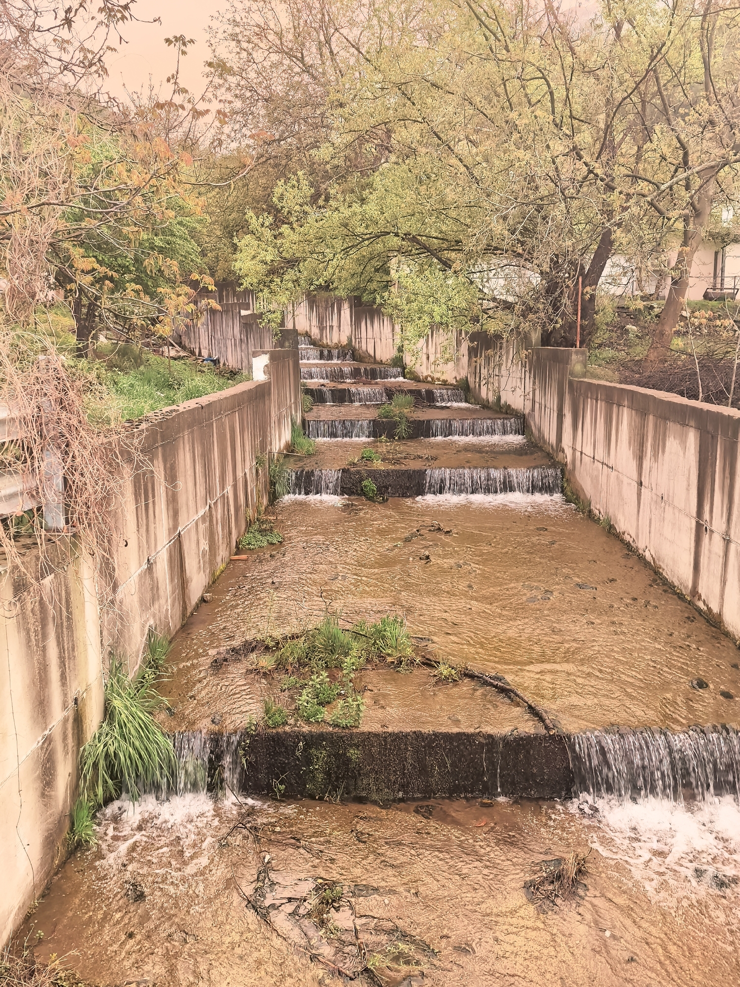 An outdoor scene in Sapareva Banya, Bulgaria, depicts a man-made stepped waterway or canal. The water, which appears brownish and slightly murky, cascades over a series of concrete weirs, forming multiple small waterfalls that create a gentle incline. White foam is visible at the base of each cascade.
The waterway is enclosed by tall, weathered concrete walls on both sides, showing discoloration and some signs of aging. Green grass and small plants grow sparsely along the water's edge, on some of the concrete steps, and at the base of the walls. Above the concrete structures, a variety of trees line the banks; some display vibrant light green foliage, while others have more brownish-orange leaves or appear bare with intricate branches, suggesting either early spring bloom or late autumn.
On the far left, a dense cluster of dry, reddish-brown vines or branches hangs over a metal barrier, possibly part of a fence or railing. In the upper right background, part of a light-colored building, likely a house, is visible peeking through the trees.
The image is captured in daylight, possibly under an overcast sky, which lends a soft, diffused light and a warm, slightly vintage filter to the overall scene. No people or animals are present, and no text is visible. The scene conveys a tranquil atmosphere centered on the engineered flow of water within a naturalistic setting.