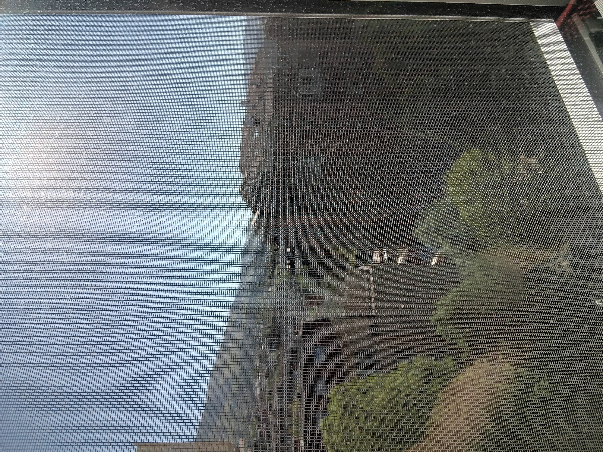 The image captures an outdoor scene viewed through a window screen, set in Sofia, Bulgaria. The entire frame is overlaid with the dark, fine mesh of the screen, creating a distinct grid pattern. The screen itself appears dusty or dirty, particularly along the top edge and more uniformly over the darker right side of the view.
On the left side of the frame, a bright and clear light blue sky is visible through the screen. A notable glare or bright sunlight emanates from the lower-left corner, suggesting a sunny day.
The right side of the view is significantly darker and more obscured by the screen. It reveals a complex background, likely a mix of dense foliage and parts of a building or structure. Patches of green trees or shrubs are discernible amidst darker, indistinct shapes, which could be architectural elements or natural terrain. The overall impression on this side is one of shadow and depth.
No people, specific activities, or visible text are present in the image. The scene portrays a static view from an interior space looking out into a brightly lit, clear-weather exterior.