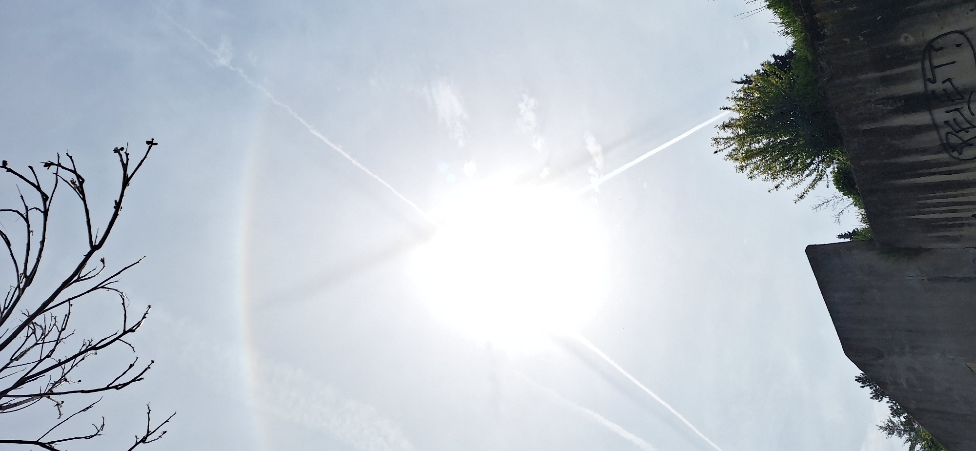 The image, taken from a low angle, shows the sun high in the sky, surrounded by a bright halo. Two prominent contrails intersect near the sun's position. To the left of the frame, bare tree branches are silhouetted against the bright sky. On the right side, part of a concrete structure, possibly a bridge or building, is visible with some vegetation growing on its top edge. Graffiti is noticeable on the side of the structure. The location is speculated to be in Blagoevgrad, Bulgaria, but that cannot be confirmed solely from the image. There are no people visible in the frame. The primary subject of the photo is the atmospheric phenomenon around the sun, with secondary subjects being the surrounding urban and natural elements.