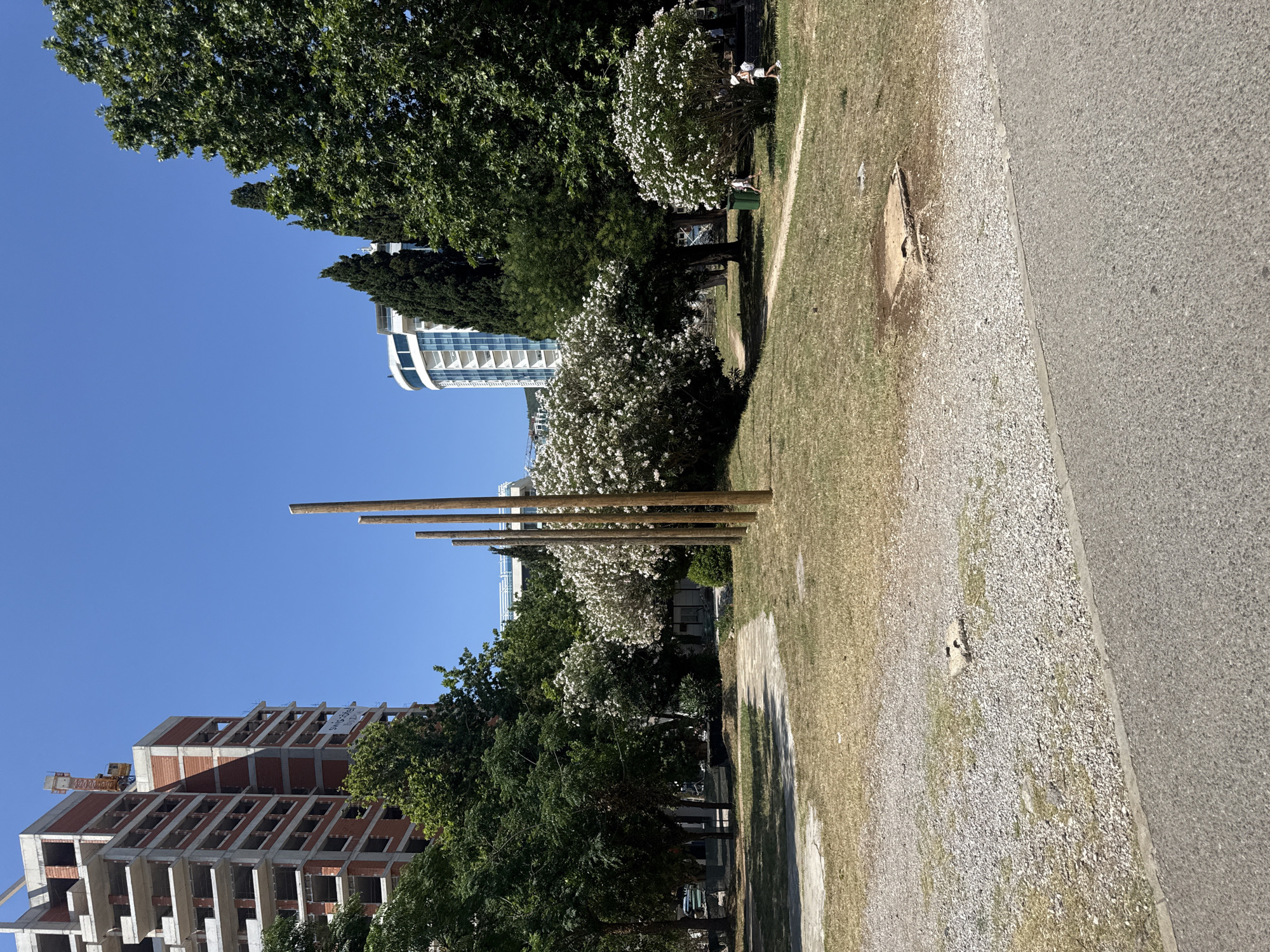 The image shows a clear, sunny day in Budva, Montenegro. In the foreground, a paved road runs diagonally across the right side of the frame, bordered by a gravel path and a grassy area. A small, square concrete structure with metal protrusions is partially visible in the gravel.
In the middle ground, a group of tall, slender wooden poles stands vertically in the grass, creating a minimalist sculpture or marker. Behind the poles, lush green trees and flowering bushes with white blossoms provide shade and color. A modern white building with numerous balconies is visible through the trees.
Further back, a large, multi-story building under construction dominates the left side of the image. Its concrete framework and brick elements are clearly visible. A construction crane is also present. The clear blue sky suggests fair weather and likely daytime.
Two people are faintly visible in the middle ground, sitting or lying on the grass near the flowering bushes. One appears to be wearing white shorts and a white top, and the other is partially obscured.
The scene appears to be a public space, possibly a park or a promenade, adjacent to both residential buildings and a construction site. The overall impression is one of a developing coastal town on a bright, warm day.