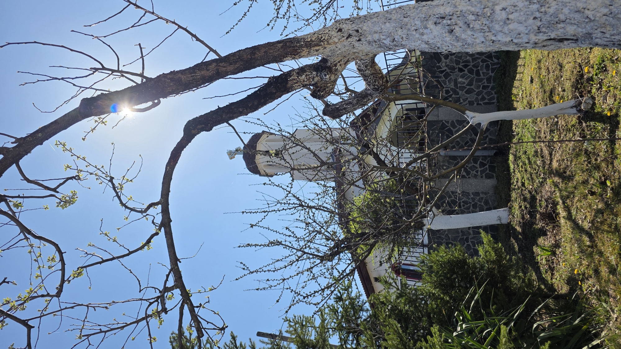 The image depicts a view from below, tilted upwards, capturing a church bell tower through bare tree branches against a bright blue sky with a sun flare. The foreground shows a tree with some branches painted white. A building with a stone wall facade is visible behind the tree. The scene is set outdoors, with grass and some greenery suggesting a yard or garden. Based on prior knowledge, the location is Elenovo, Bulgaria, given the church's architectural style and the overall environment depicted. No people are visible in the image.