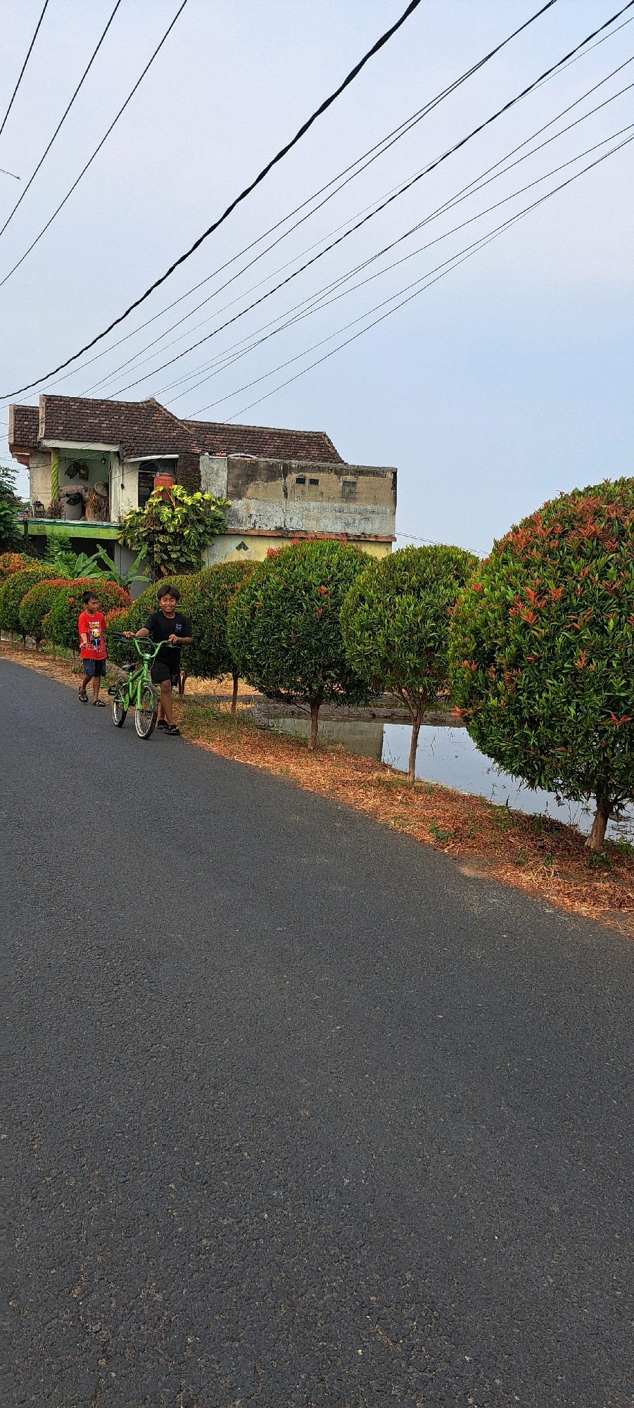 In Sumber Gedang, Indonesia, two young boys are seen walking on an asphalt road beside a row of manicured green trees. The boy in the foreground, wearing a black t-shirt and shorts, is holding the handlebars of a green bicycle. To his left, a younger boy in a red t-shirt and shorts walks, looking towards the older boy. Behind the trees, a body of water is visible, reflecting the sky. Further back, a two-story building with a tiled roof and weathered walls stands, with trees and foliage surrounding it. Overhead, a network of electrical wires stretches across the pale sky.