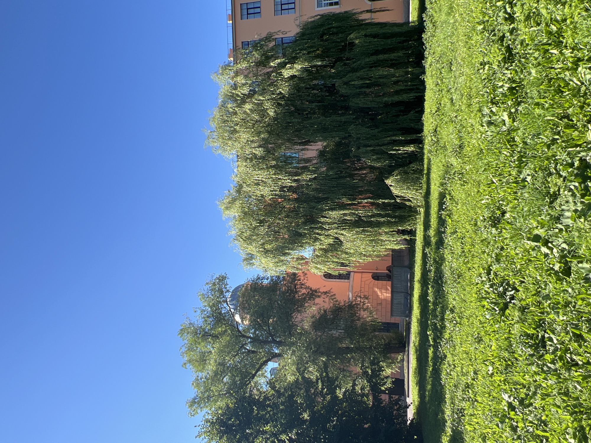 This is an eye-level, medium shot of a building with a dome and surrounding trees under a clear blue sky. The building is light orange with arched windows and dark window frames. A large weeping willow tree dominates the right side of the frame, its branches cascading down towards the ground. To the left of the willow is another tree with dense green foliage. In the foreground, a lush green lawn is illuminated by sunlight, with some patches of shadow cast by the trees. The overall scene depicts a tranquil outdoor setting in a city. The architecture of the building and the presence of a dome suggest a historical or cultural landmark. This location is the Vaganova Academy of Russian Ballet in Saint Petersburg, Russia.