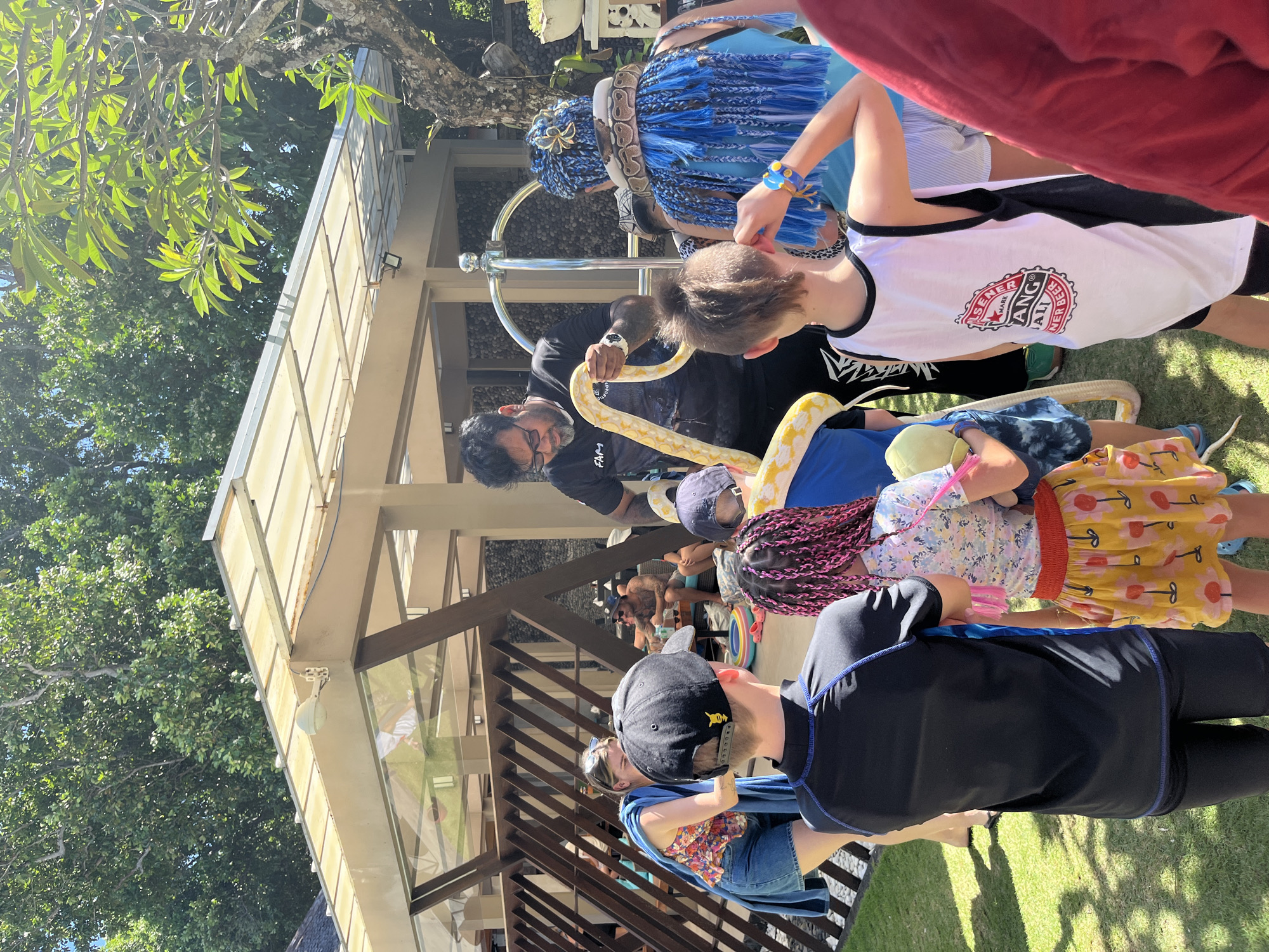 In Kuta Selatan, Indonesia, a group of people, predominantly children, gather outdoors under a covered structure with a transparent roof, surrounded by lush greenery and trees. A man, appearing to be an entertainer or handler, is holding a large, yellow python. The snake is coiled around his arms and extends towards a woman with elaborate blue braided hair, on whom a smaller section of the snake is draped around her neck and shoulders. The woman is wearing a blue top and has a decorative flower accessory in her hair. Children are observing the snake, some with evident curiosity and others appearing more apprehensive. One child in the foreground wears a black rash guard and black shorts, while another, facing away, has pink braids and wears a colorful skirt. The environment suggests a recreational or educational event, possibly at a resort or tourist attraction. The ground is covered in green grass, and wooden fencing and furniture are visible in the background. The overall scene depicts an interactive animal encounter in a sunny, tropical setting.