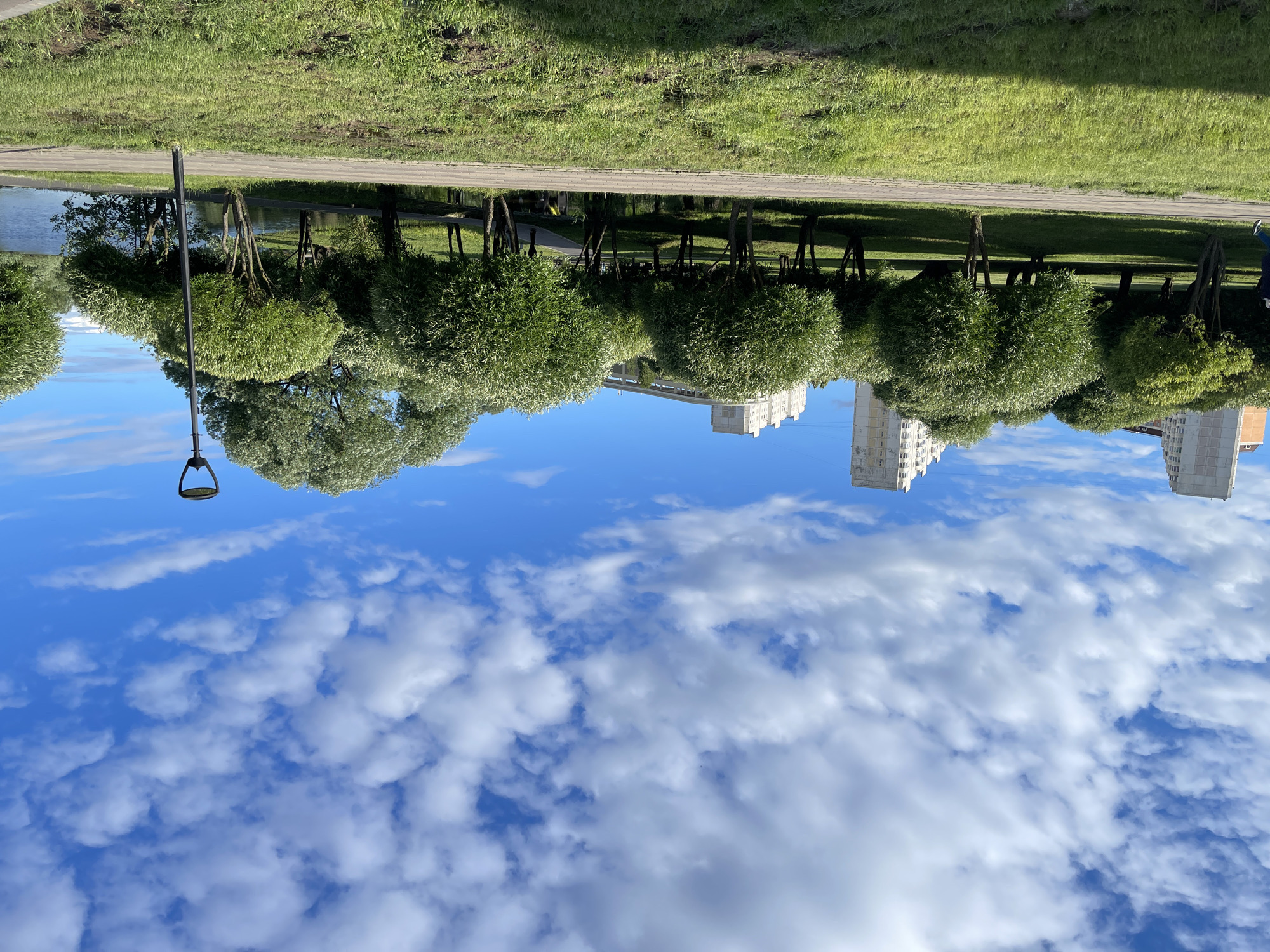 This is a ground-level, eye-level, wide shot of a park in Moscow, Russia, on a sunny day with scattered clouds. In the foreground, a paved pathway runs horizontally across the image, separating a grassy lawn from a line of trees. The lawn is well-maintained and green, with some patches of darker soil. Behind the pathway, a grove of round, bushy trees with bright green foliage is visible. A person can be seen jogging on the pathway from the left side of the frame. Further back, a body of water, likely a river or lake, is visible, with trees and buildings on the opposite bank. The buildings are tall, modern apartment complexes, characteristic of residential areas in Moscow. A black lamppost stands to the right of the frame, near the water. The sky is a vibrant blue with a dynamic pattern of white cumulus clouds. The overall impression is one of a pleasant, urban green space.