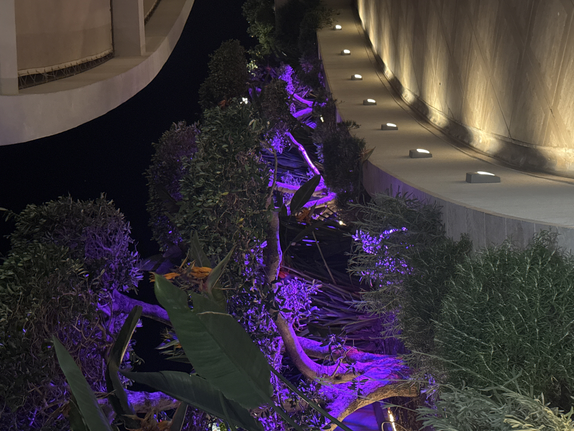 The image depicts a nighttime scene of illuminated landscaping near architectural structures. A curved, light-colored building element is visible in the upper left corner. A walkway with recessed lights runs along the upper right side of the frame. The vegetation, including trees and shrubs, is highlighted with bright purple lighting, creating a contrast with the surrounding darkness. The scene is located in Đurići, Montenegro.